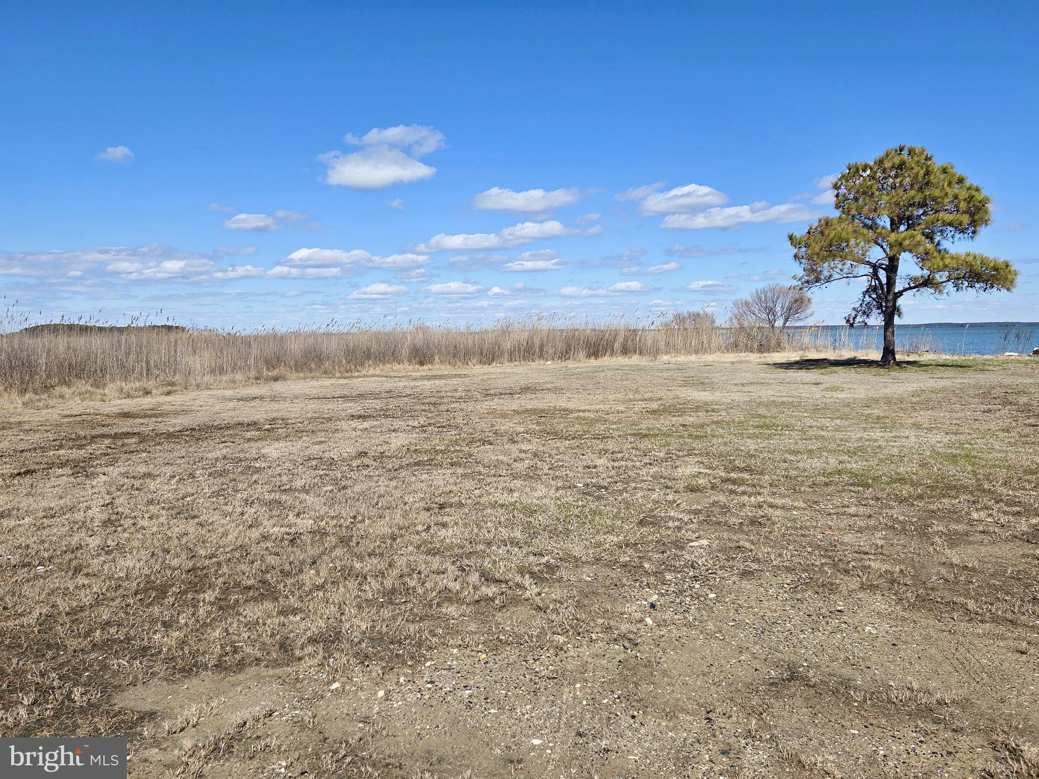 Waterfront Honga River - STEAMBOAT WHARF RD WATERFOWL