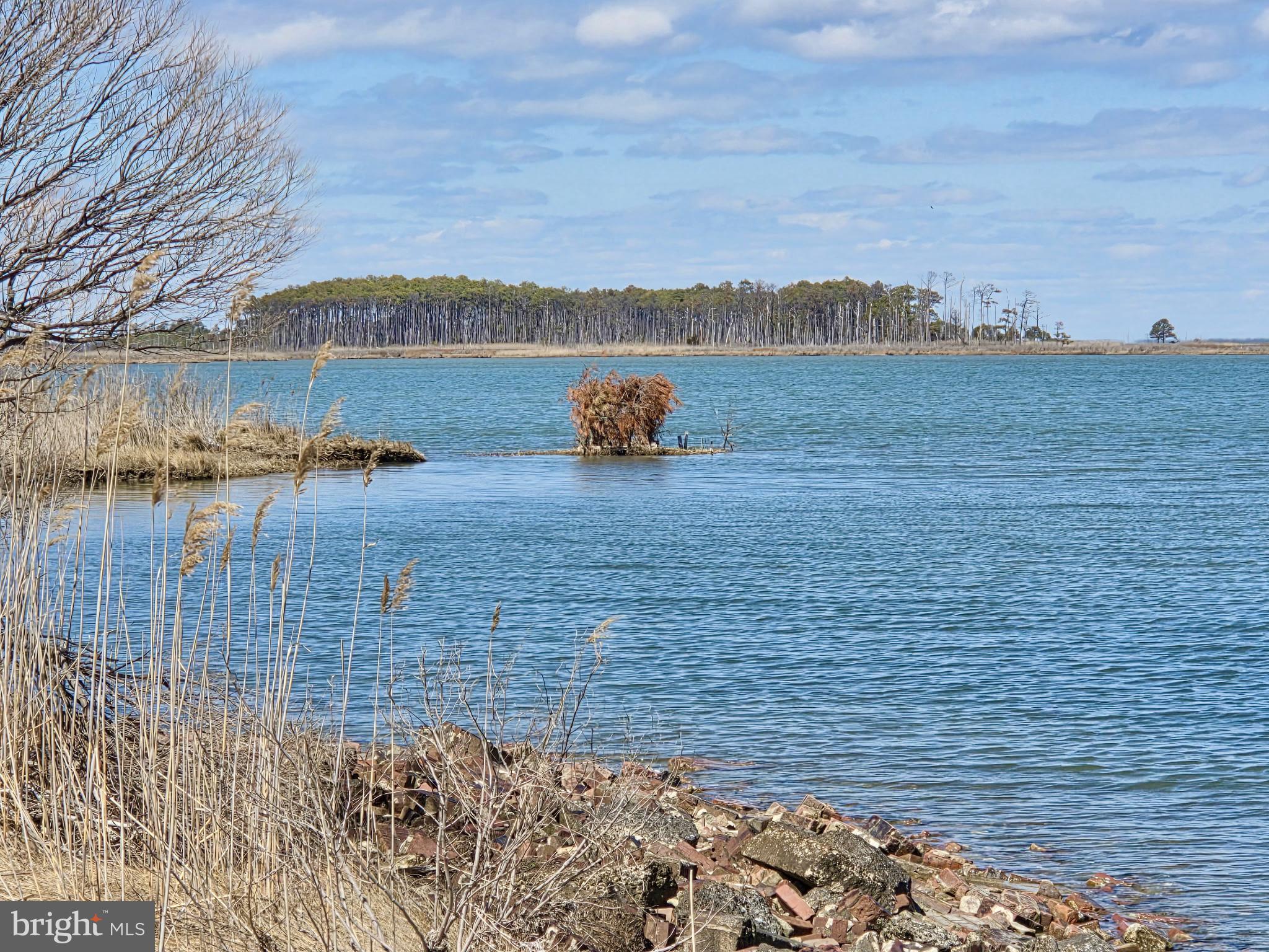 Waterfront Honga River - STEAMBOAT WHARF RD WATERFOWL