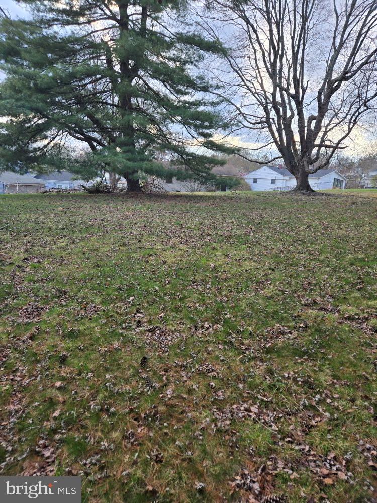 WILLOUGHBY COURT - Residential