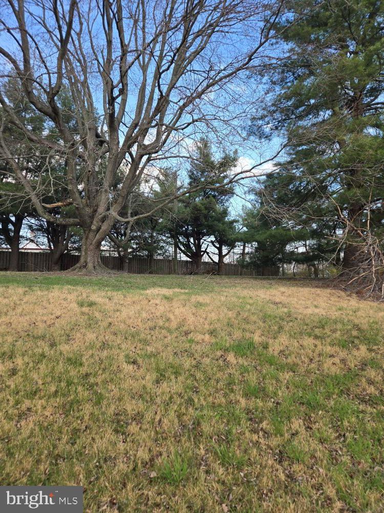 WILLOUGHBY COURT - Residential