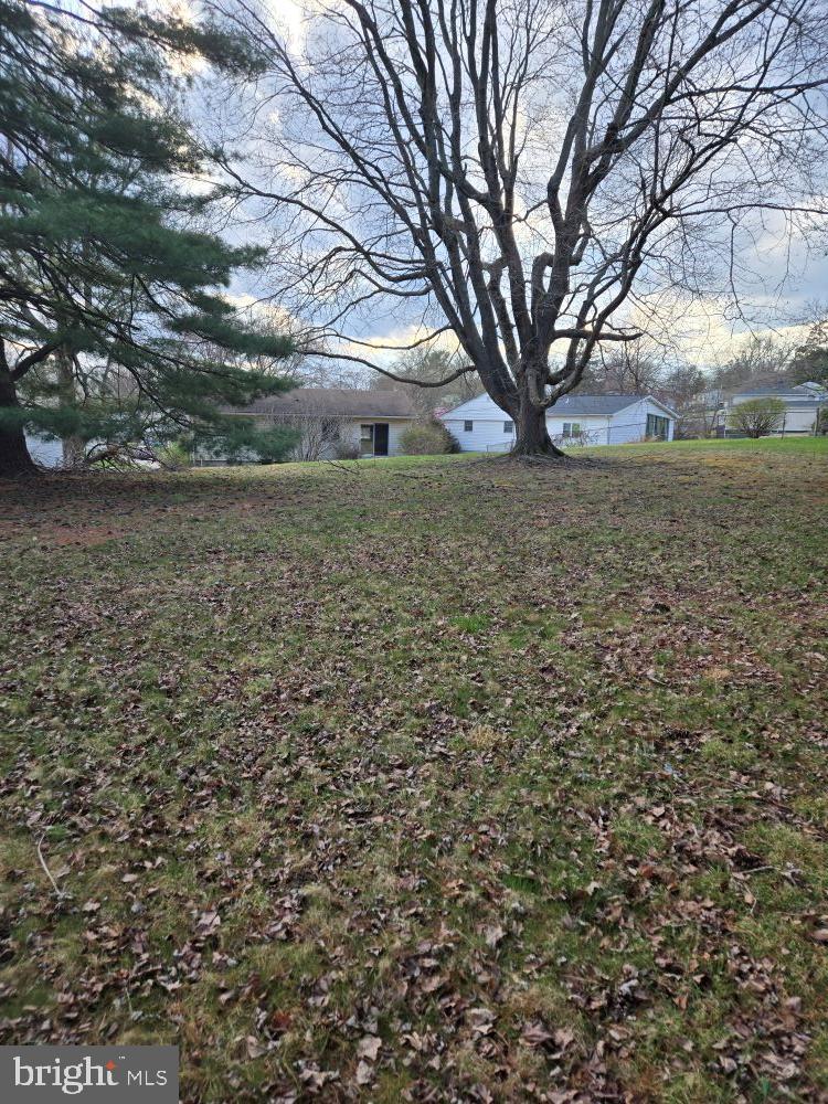 WILLOUGHBY COURT - Residential