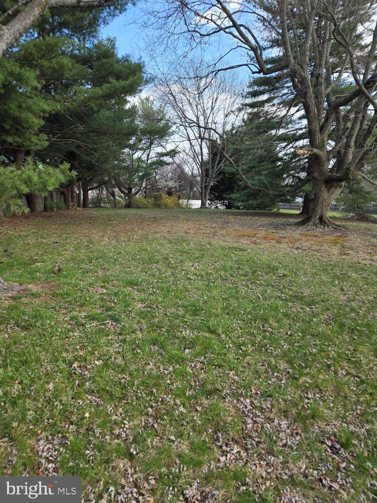 WILLOUGHBY COURT - Residential