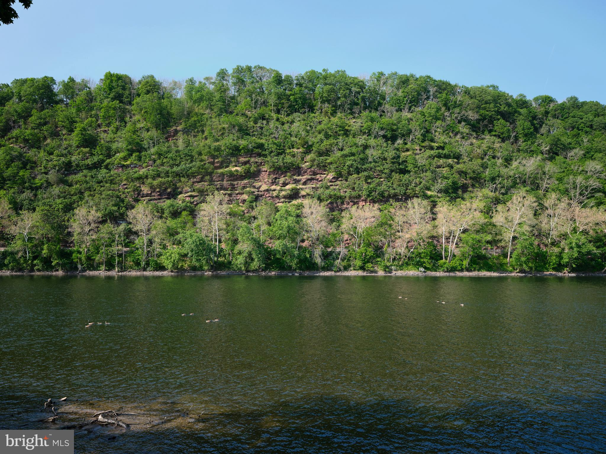 UPPER BLACK EDDY - Residential