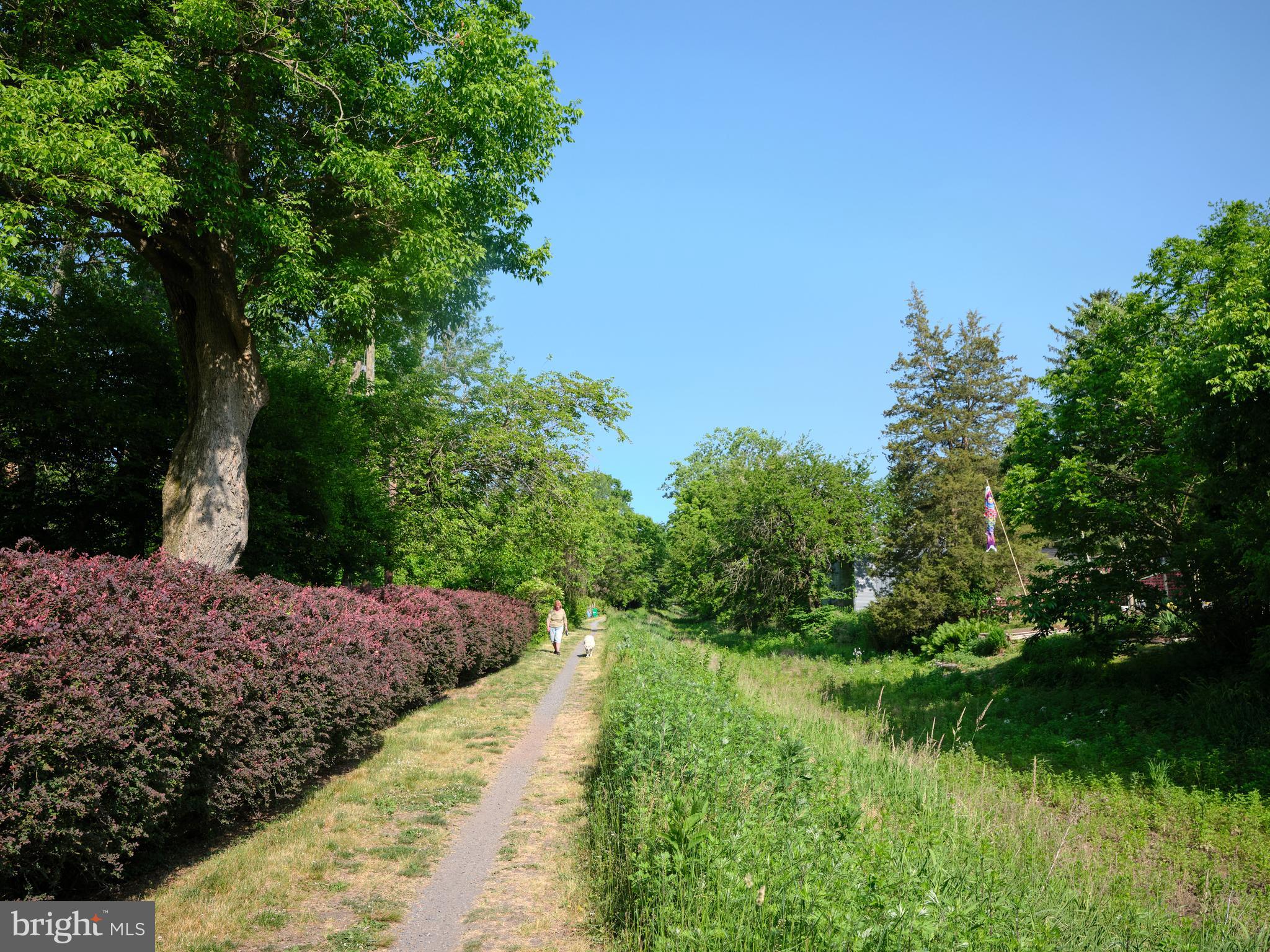 UPPER BLACK EDDY - Residential