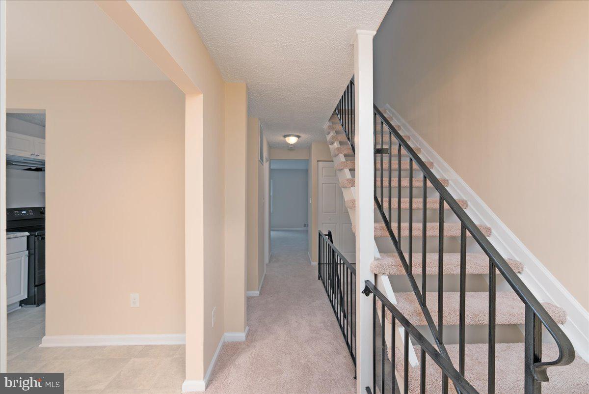 CENTRAL PARK - Residential