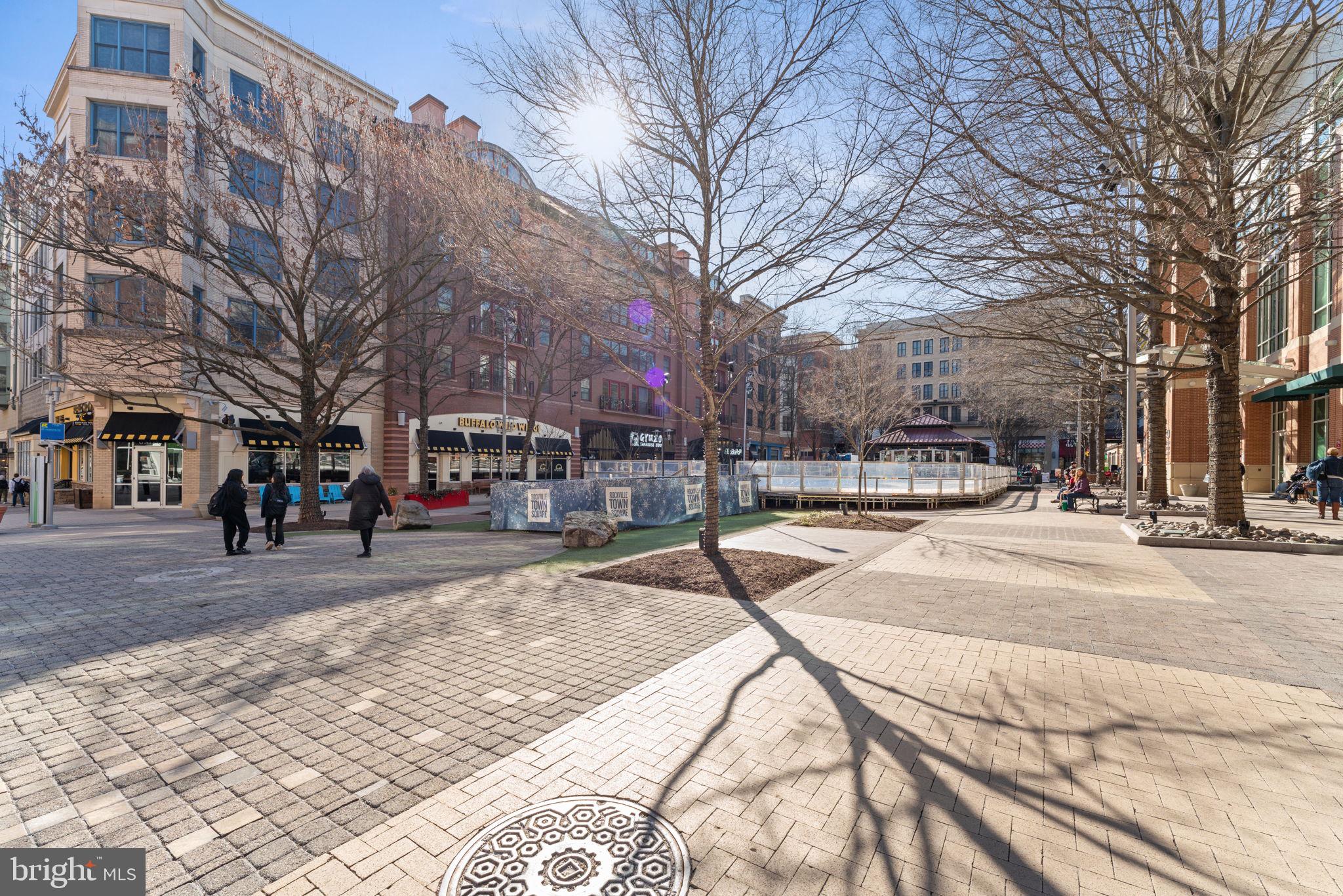 NEW MARK COMMONS - Residential