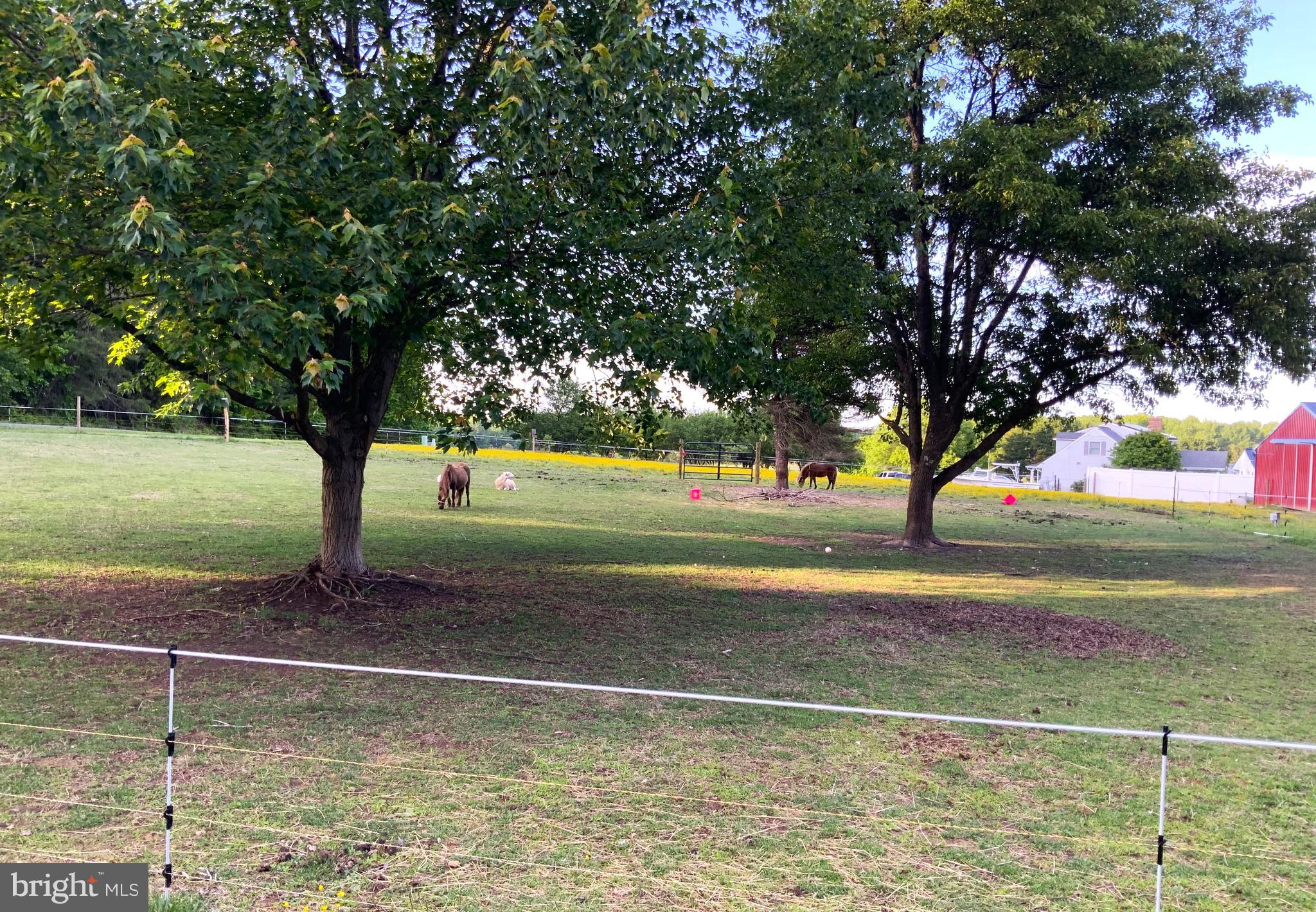 HEARTS DESIRE - Residential