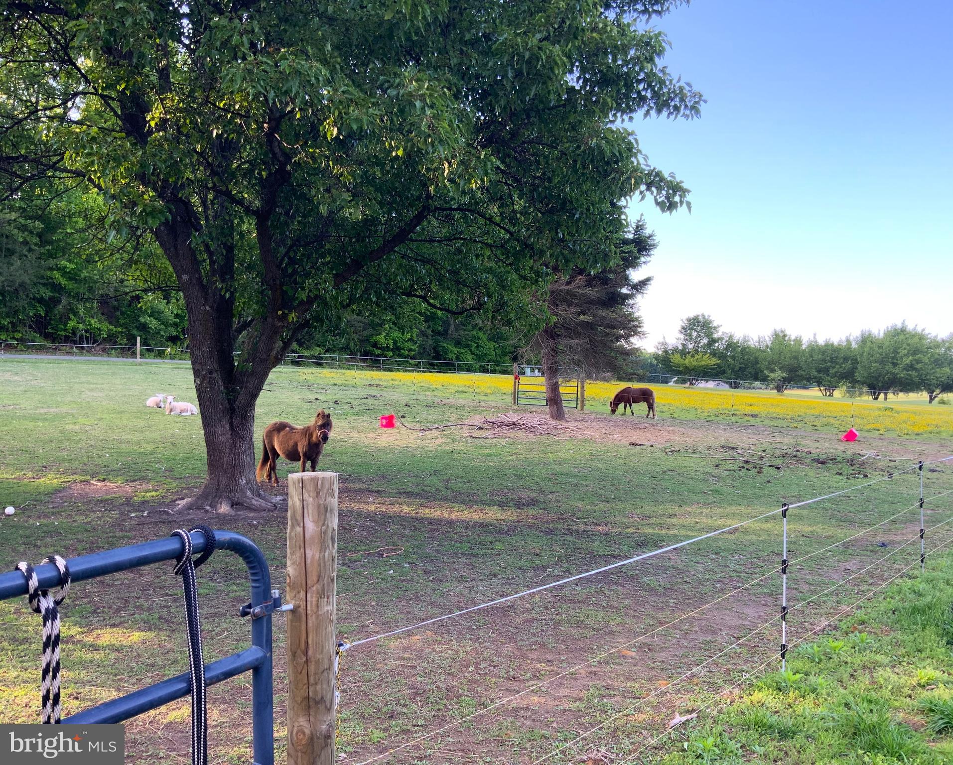 HEARTS DESIRE - Residential