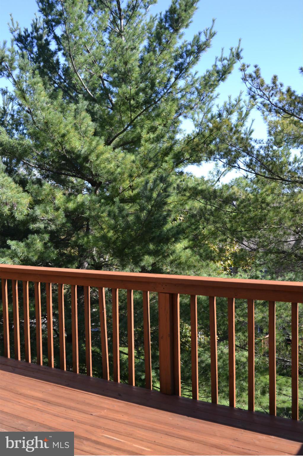 GOUCHER WOODS - Residential Lease