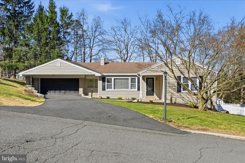 115 MAHANTONGO DRIVE POTTSVILLE PA 17901