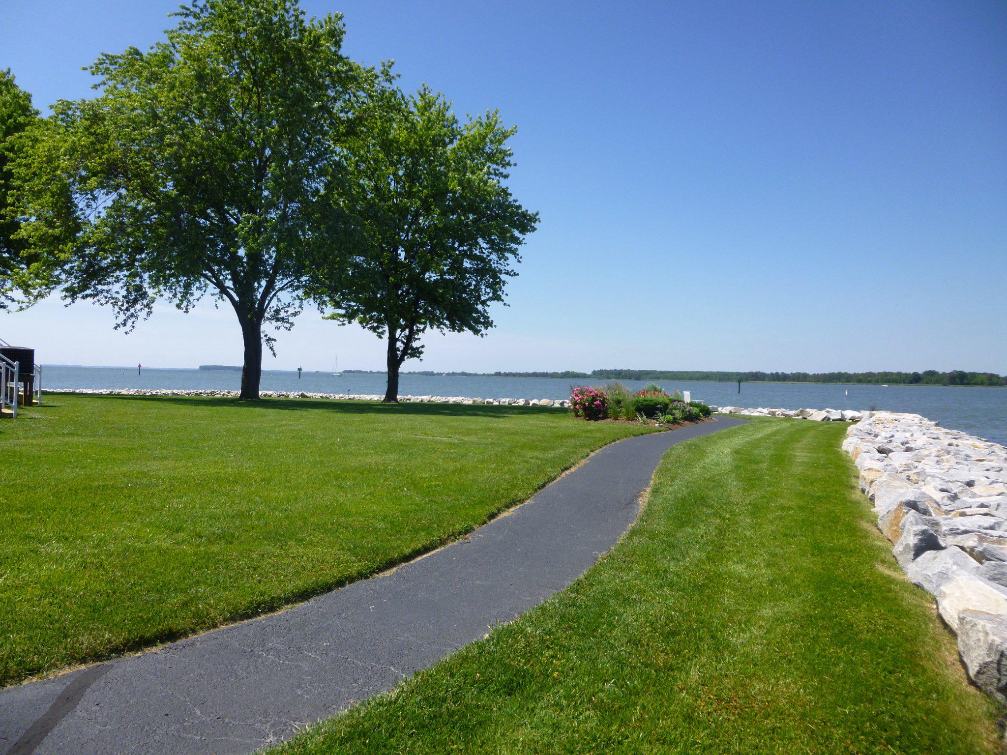 OYSTER COVE - Residential