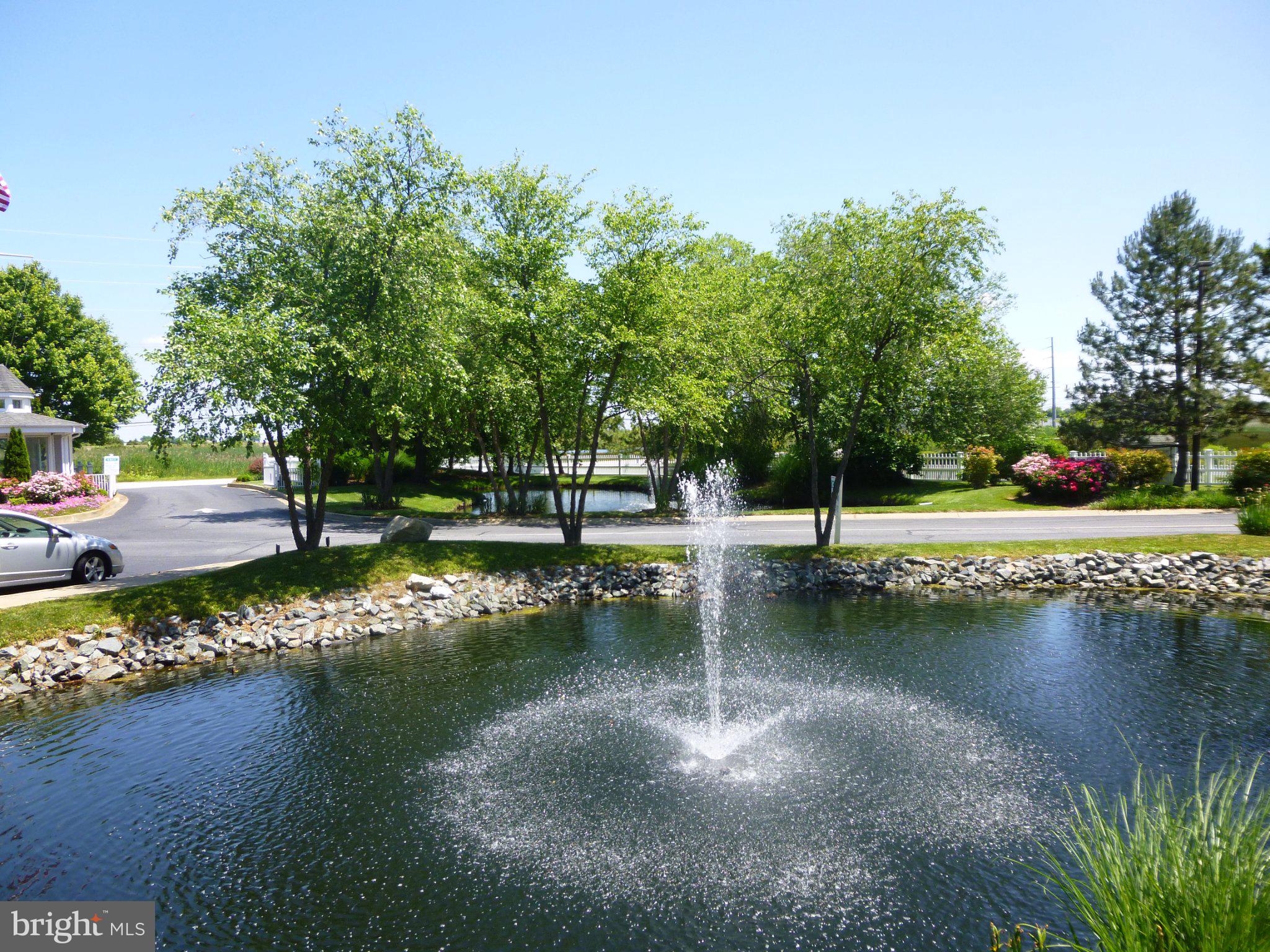 OYSTER COVE - Residential