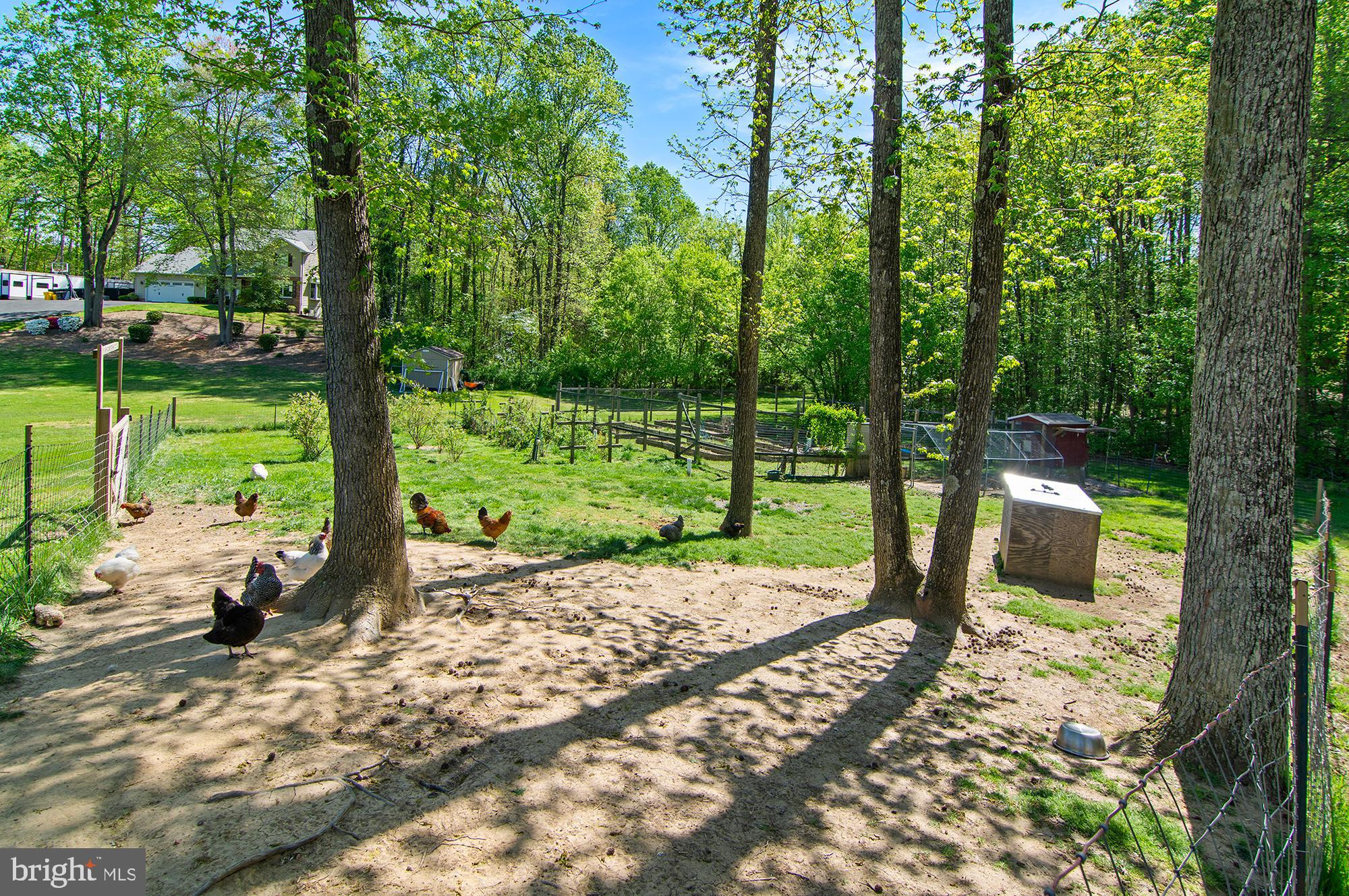 HARDESTY ESTATES - Residential