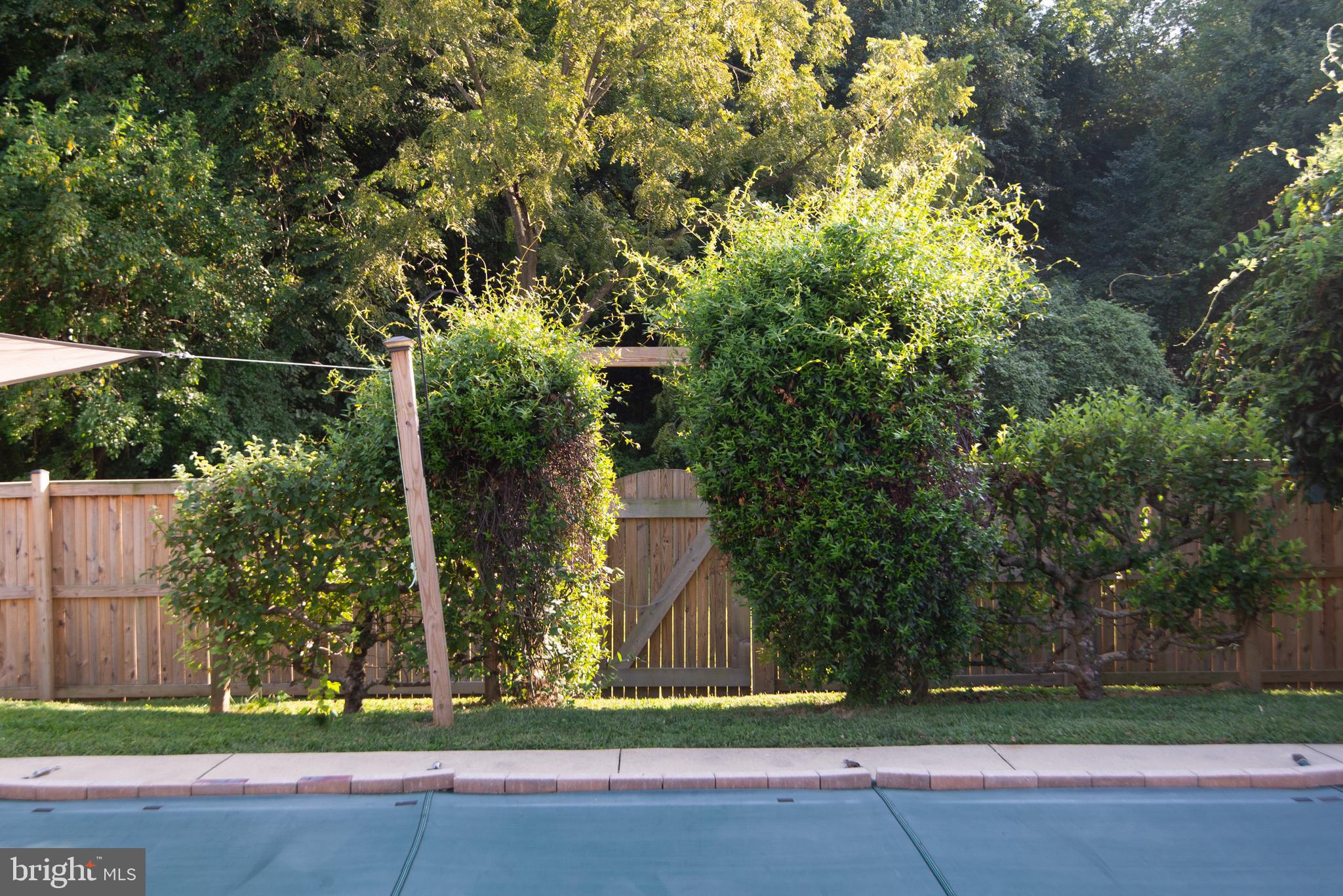 MULBERRY STATION - Residential