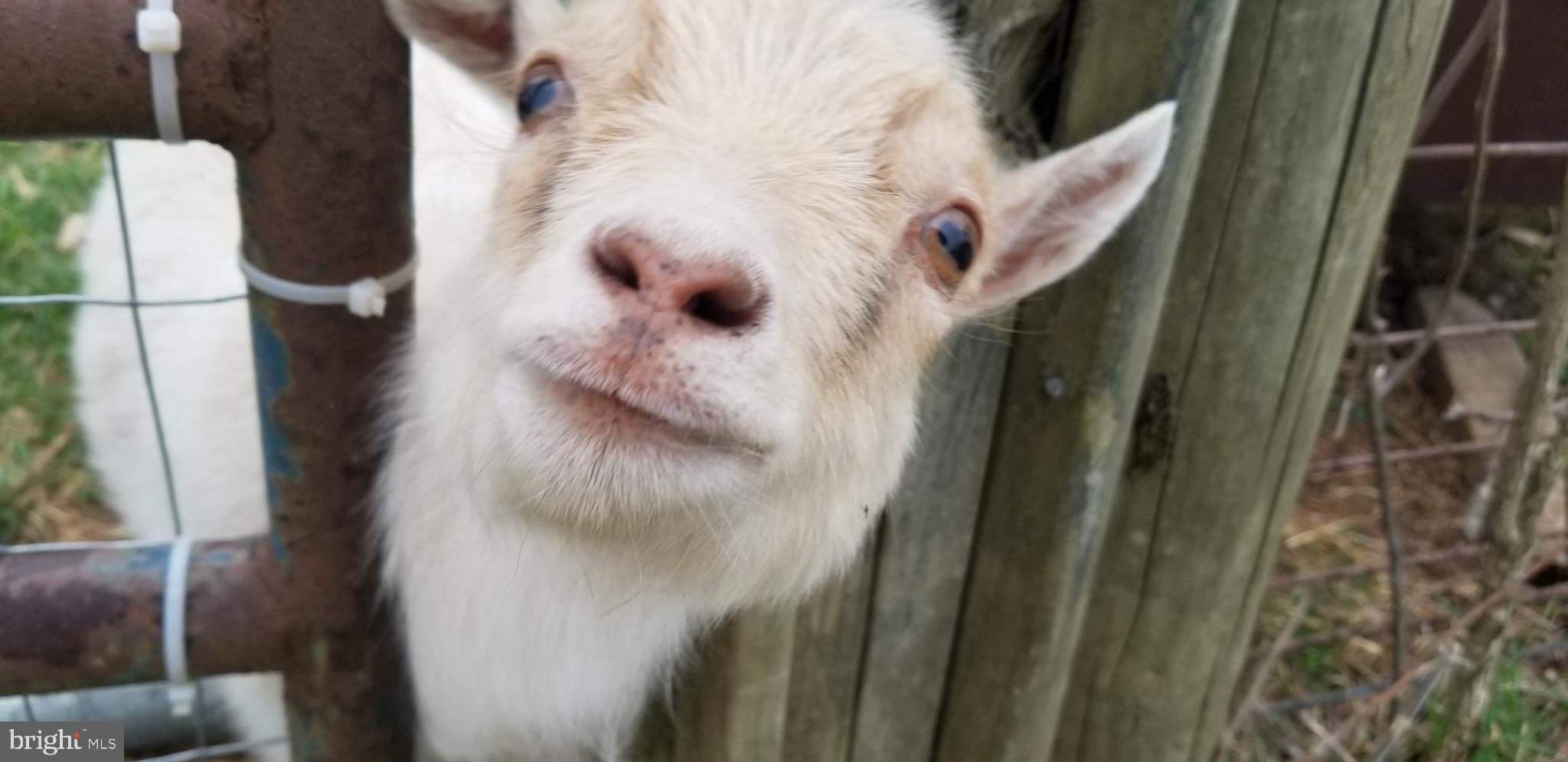 KABLETOWN DISTRICT - Residential