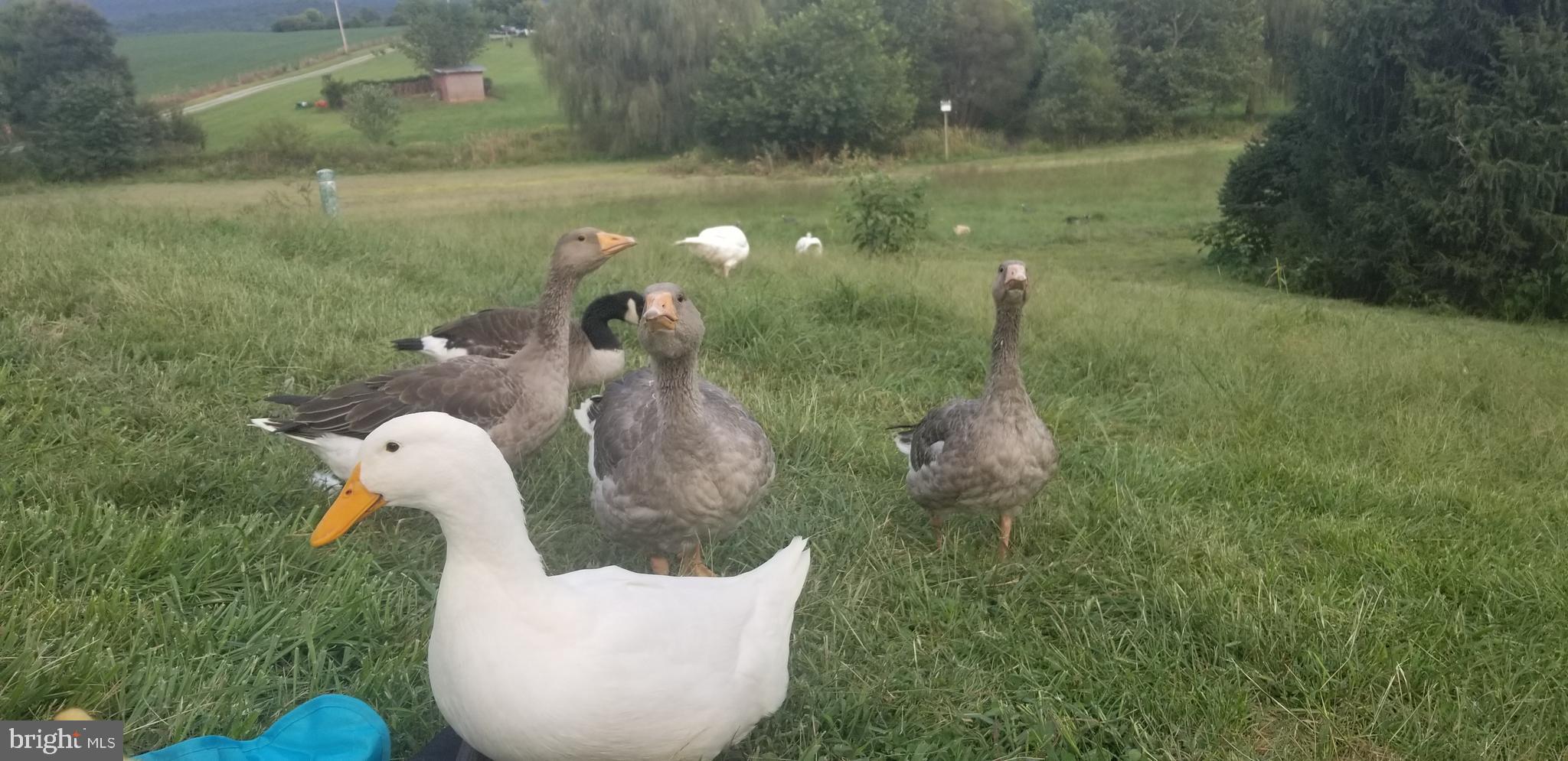 KABLETOWN DISTRICT - Residential