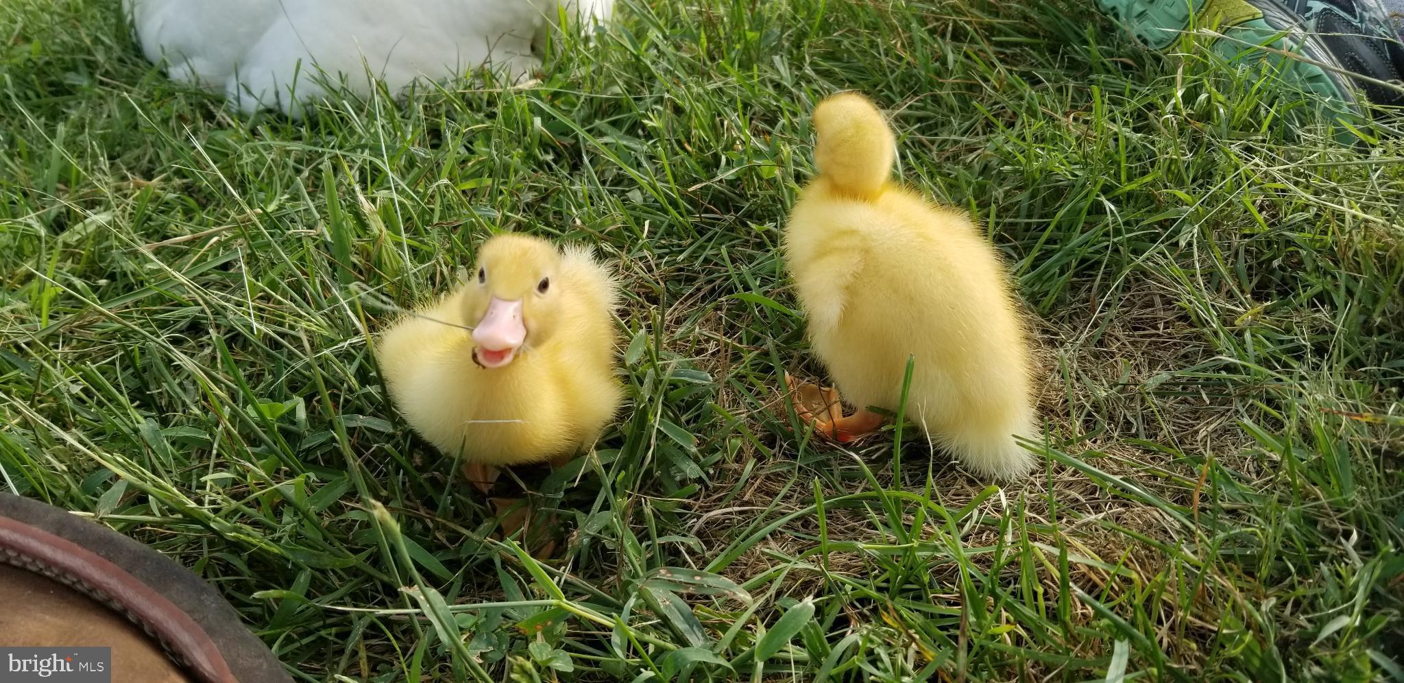 KABLETOWN DISTRICT - Residential