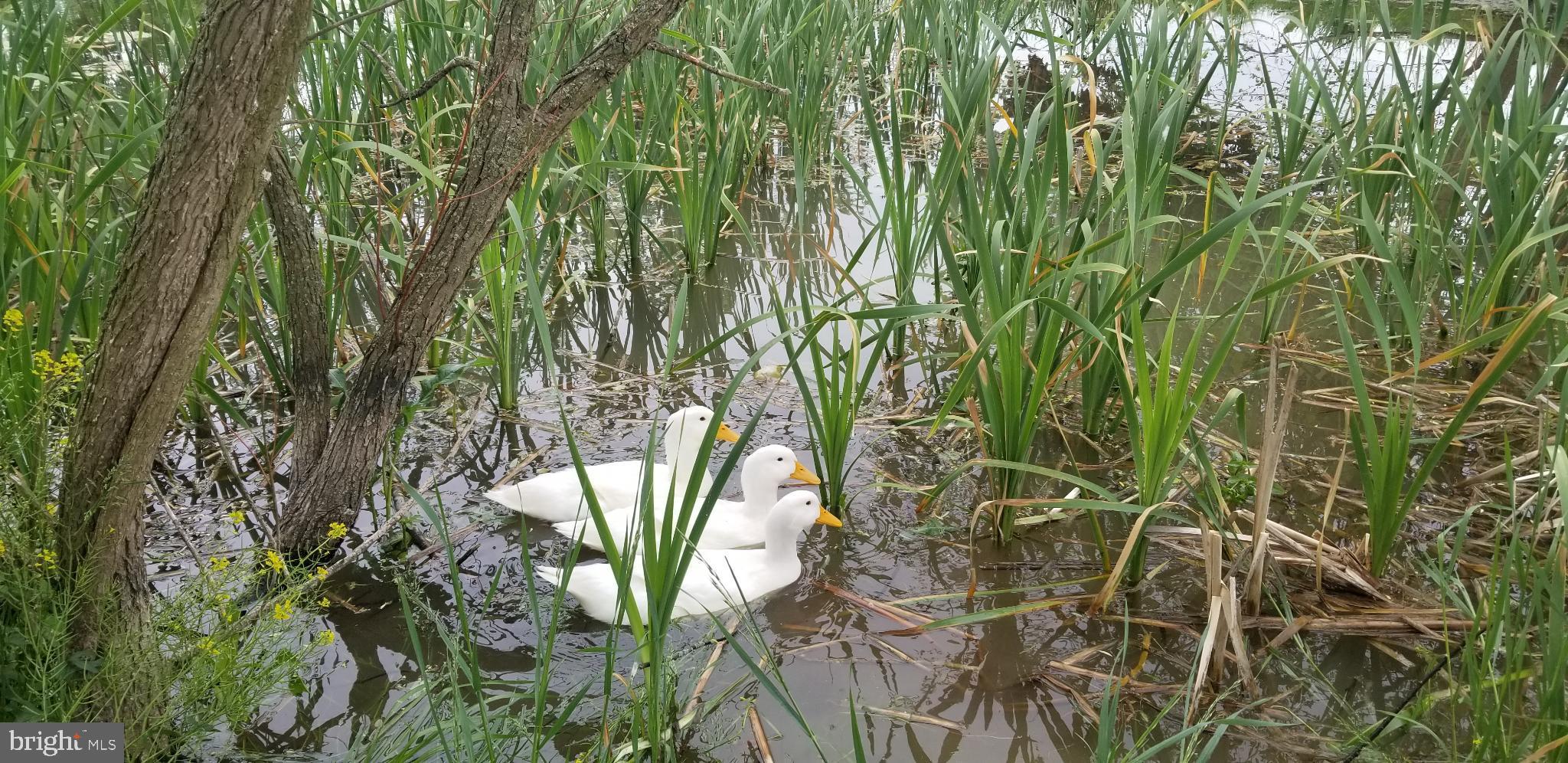 KABLETOWN DISTRICT - Residential