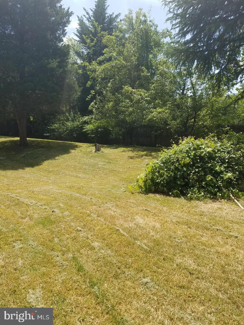 MAPLEWOOD - Residential