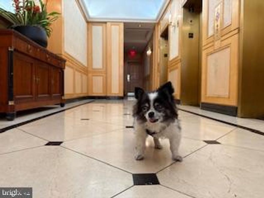 Luxury Living in Rittenhouse Square! Welcome to The Ellington, a premier historic high-rise offering style, comfort, and convenience. This spacious 1-bedroom, 1-bath condo features 845 sq. ft. of open living space with hardwood floors and abundant natural light.

The modern kitchen is equipped with stainless steel appliances, built-in microwave, oven/range, refrigerator, dishwasher, and disposal. In-unit laundry with washer and dryer adds everyday ease.

Residents enjoy 24-hour concierge and doorman, a fitness center, and meticulously maintained common areas. Just steps from Rittenhouse Square, you’ll be surrounded by the city’s best dining, shopping, and cultural attractions.

✨ Bonus: Seller will pay condo fees through the end of the year!