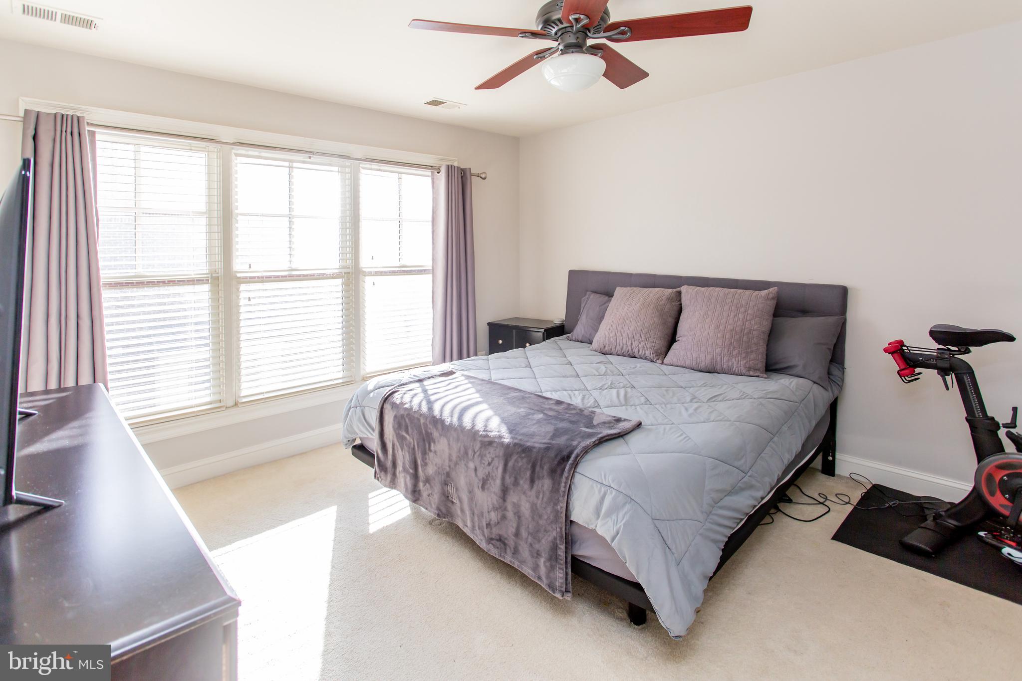 CARLYLE - Residential Lease