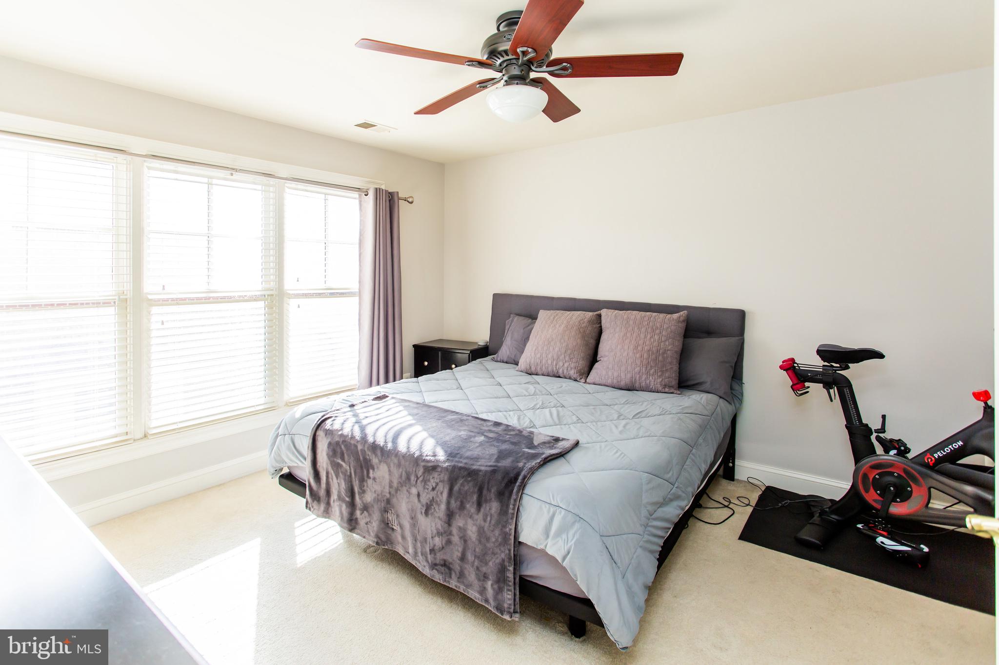 CARLYLE - Residential Lease