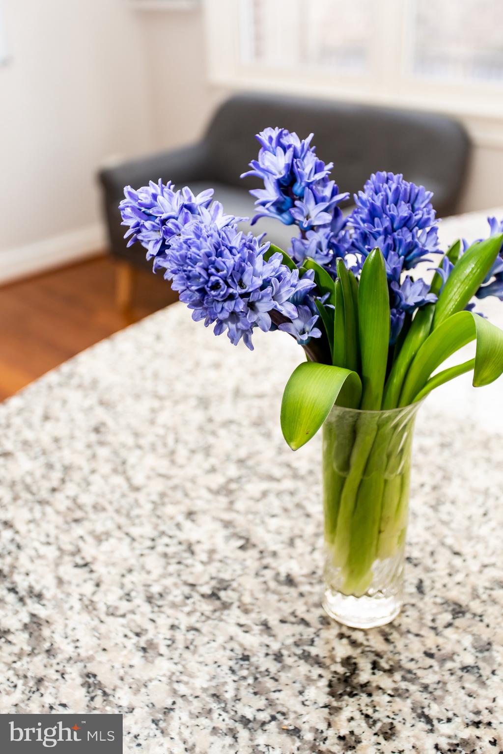 CARLYLE - Residential Lease