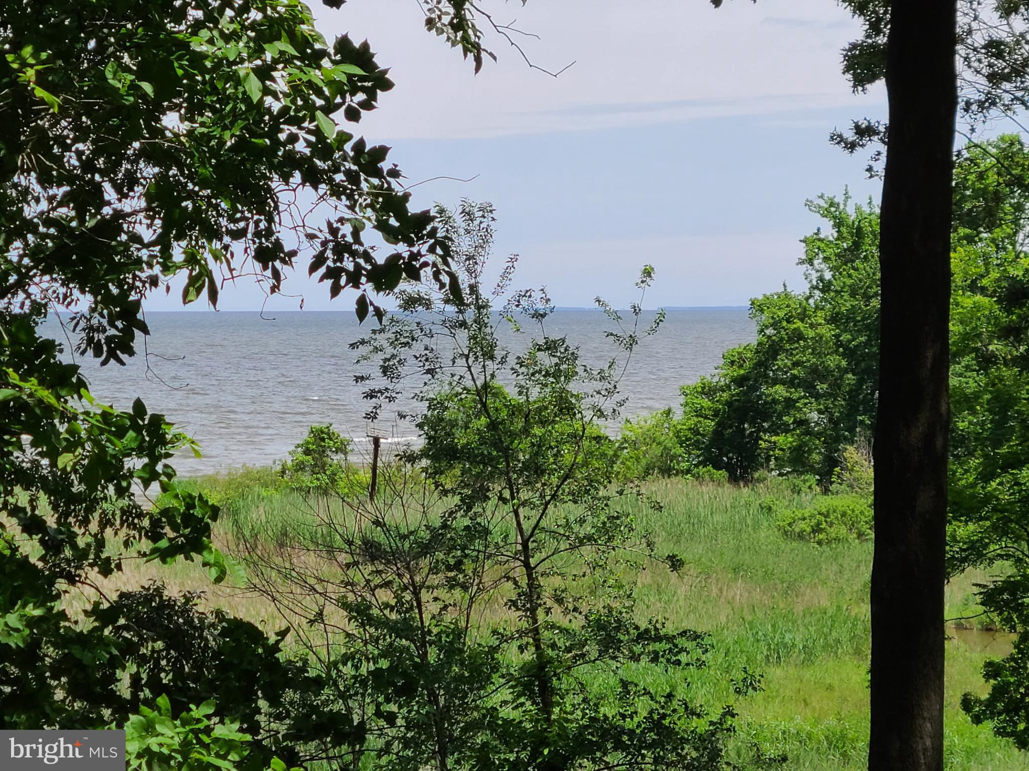 BAY WOODS - Residential