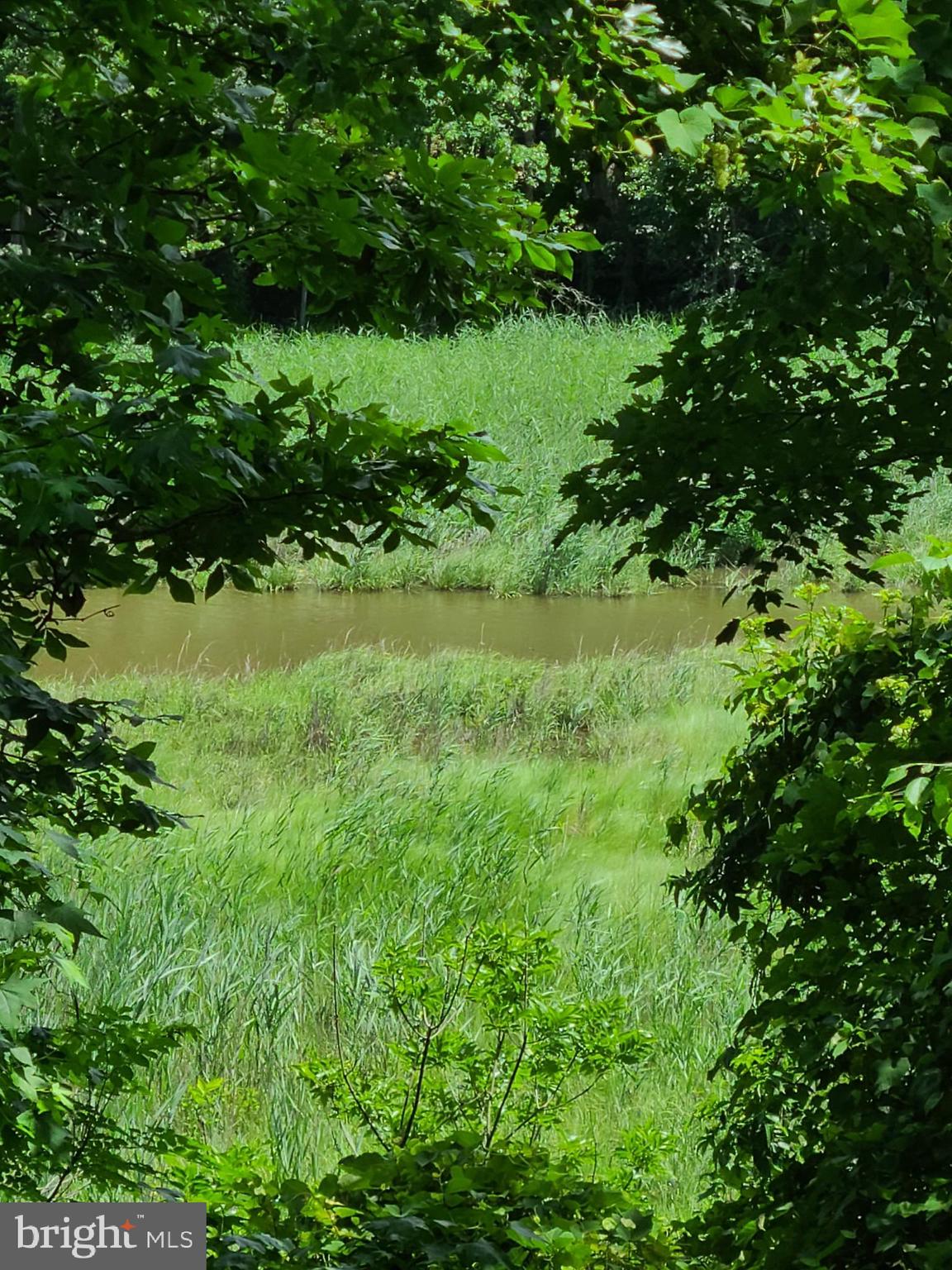 BAY WOODS - Residential