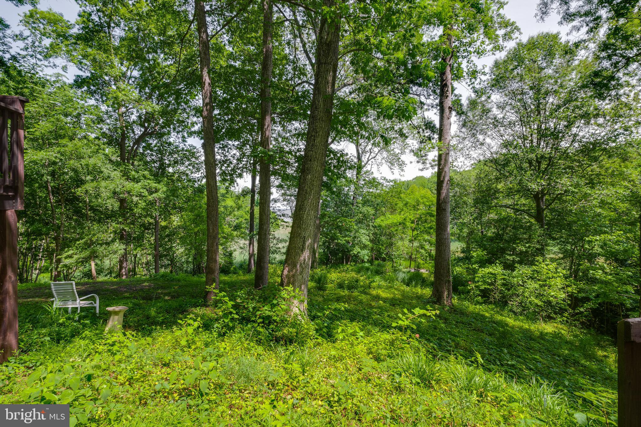 BAY WOODS - Residential