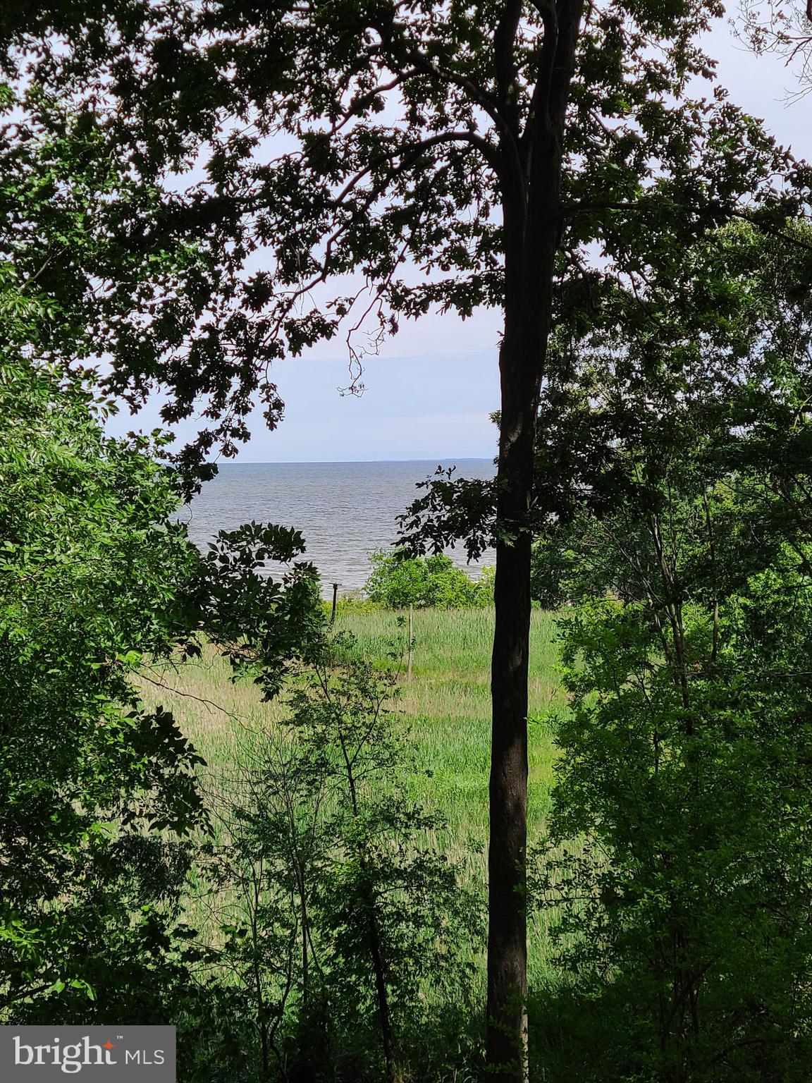 BAY WOODS - Residential