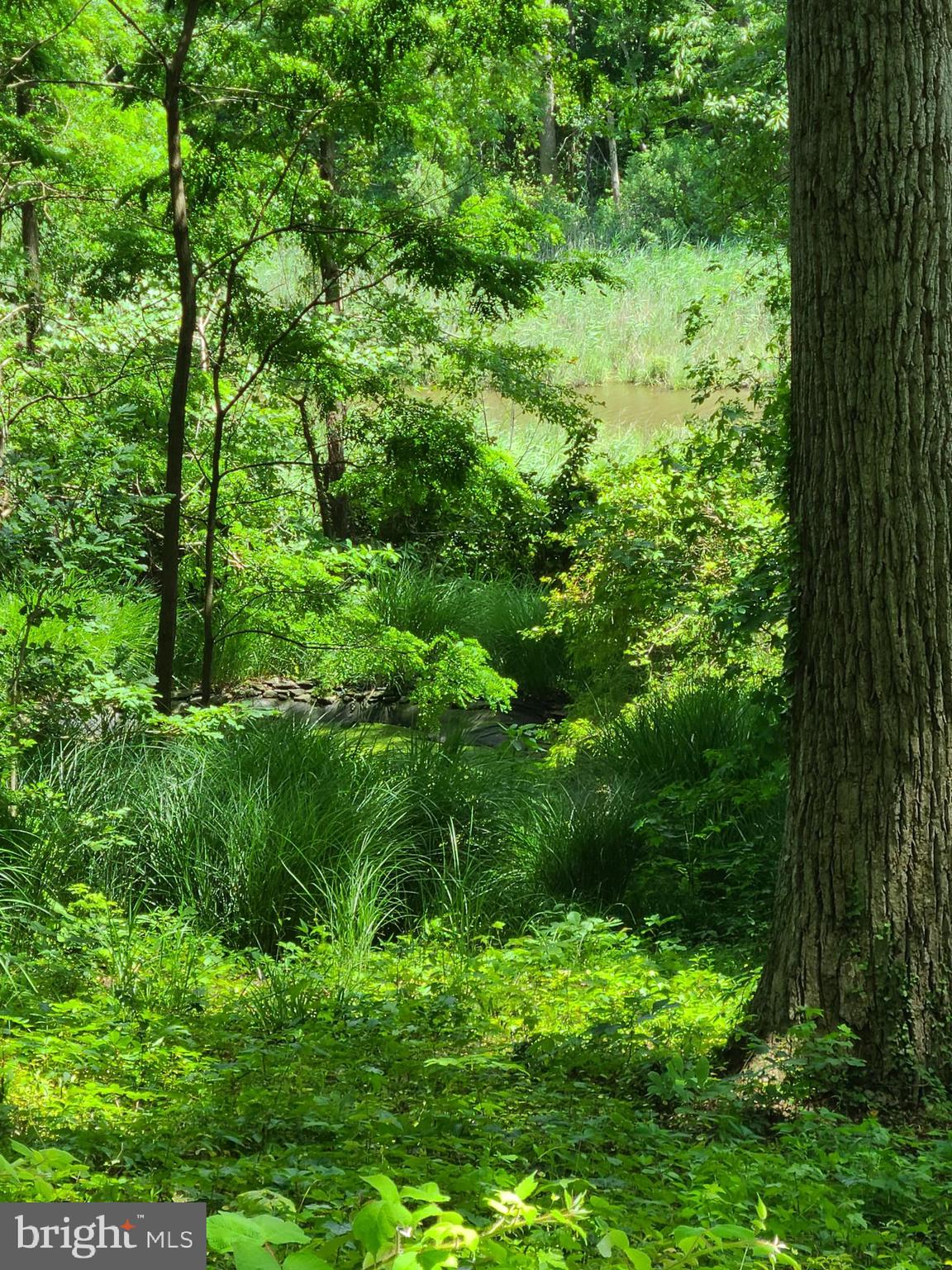 BAY WOODS - Residential