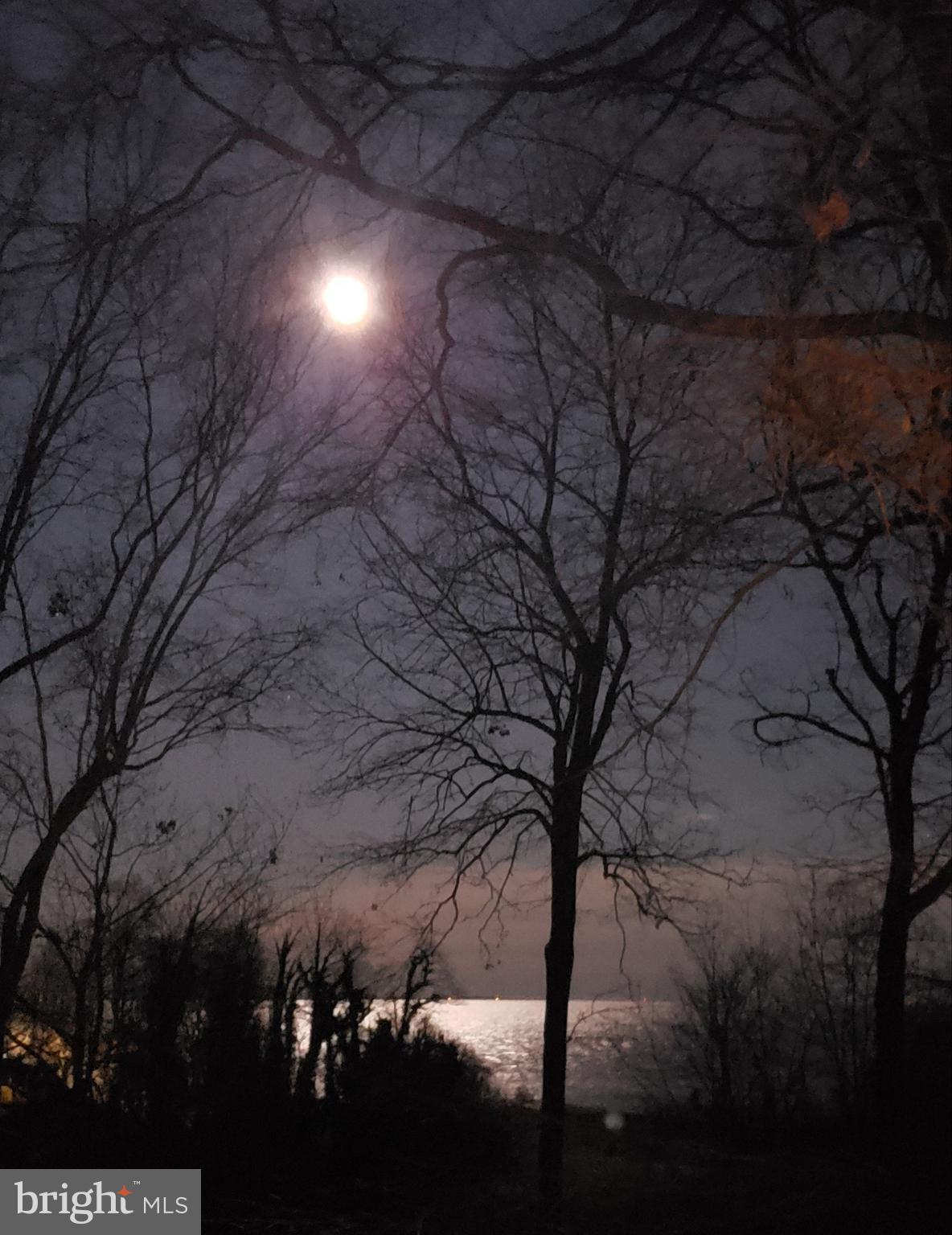 BAY WOODS - Residential