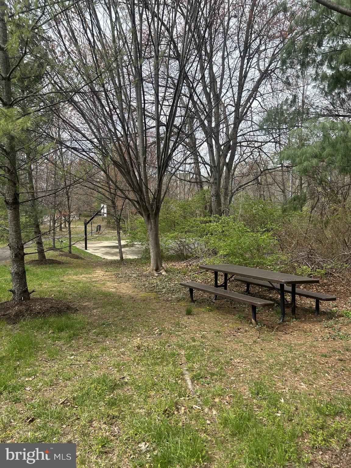 BRIARWOOD TRACE - Residential