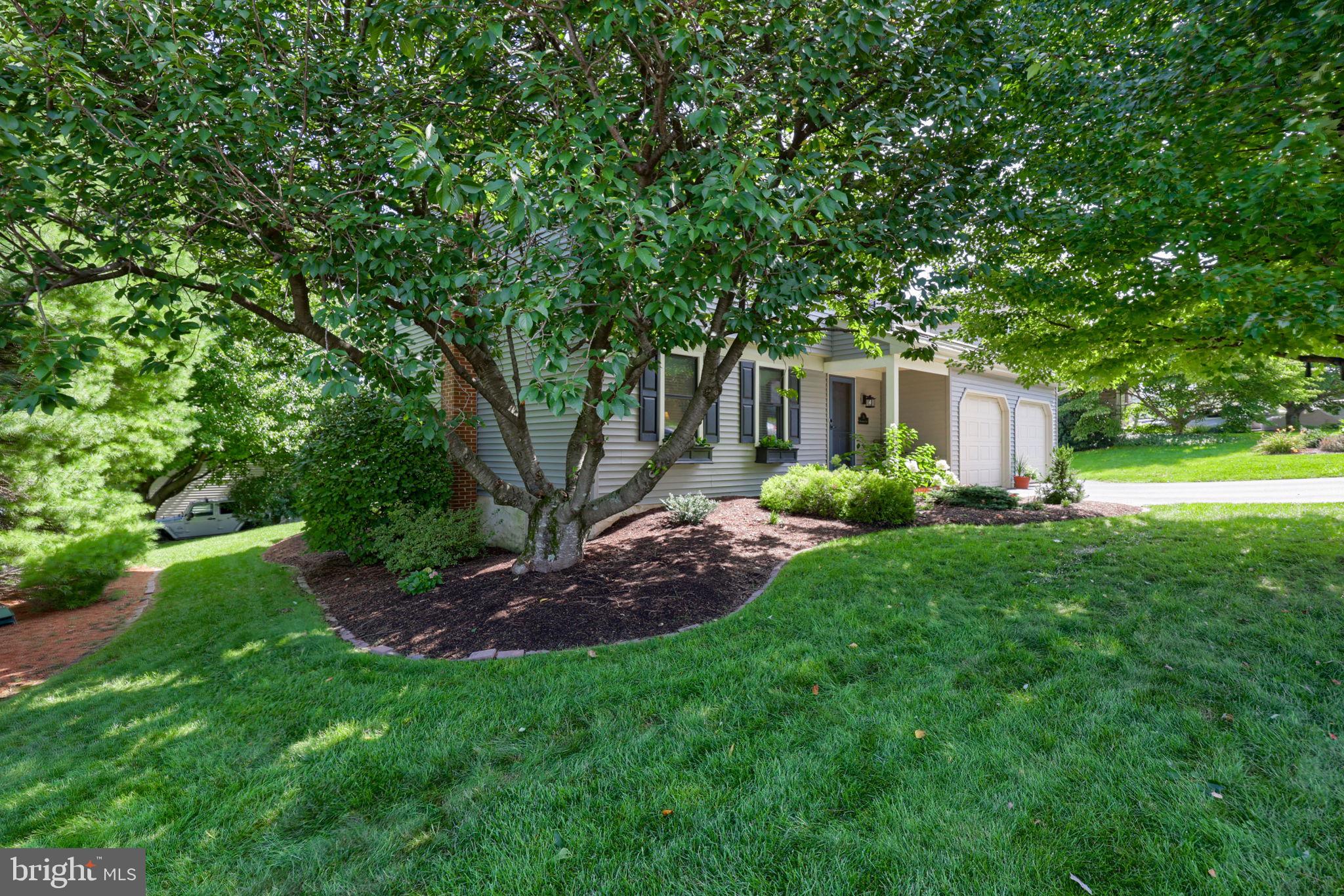 51 BLACKBERRY LANE