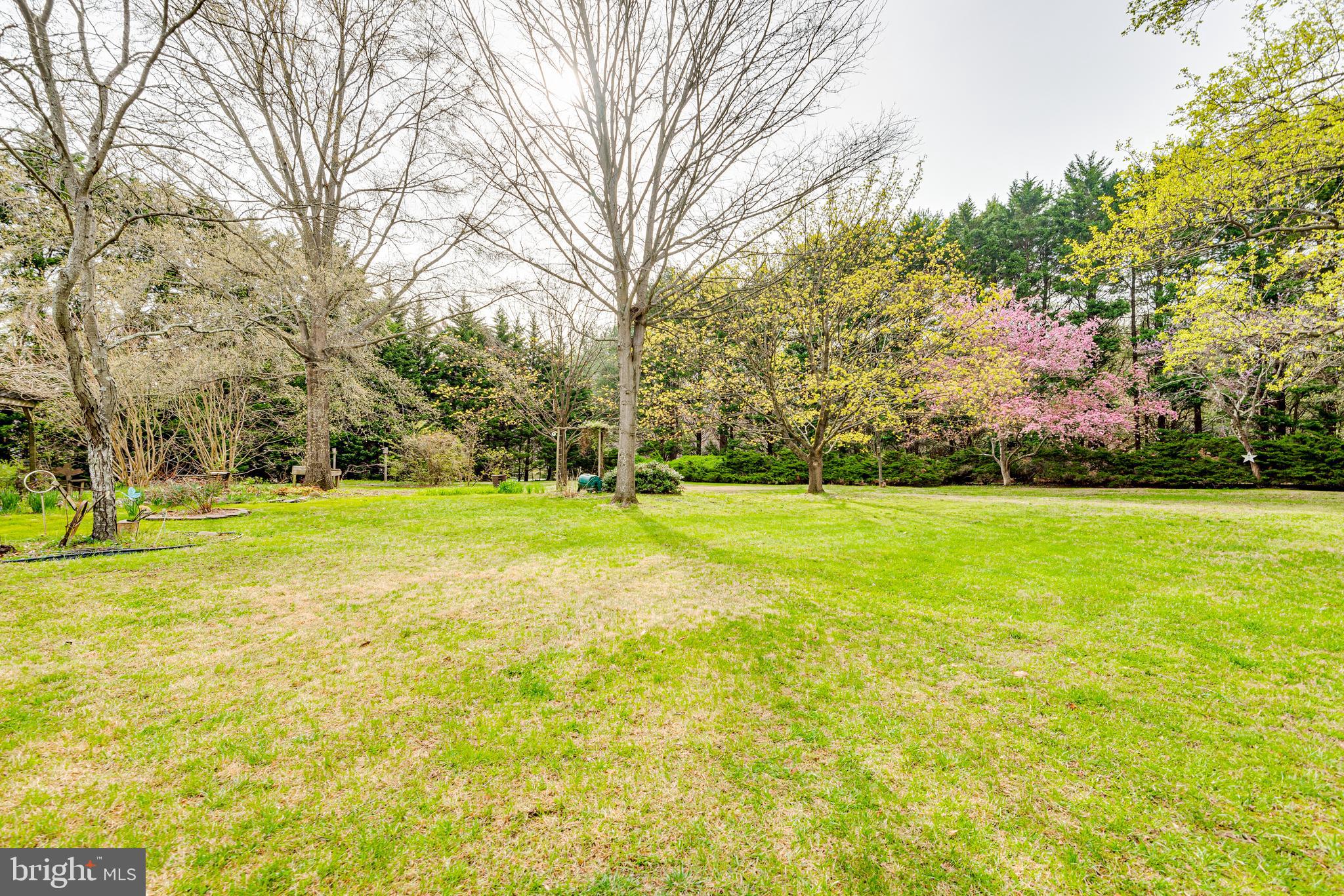 CHEVAL TRAILS - Residential