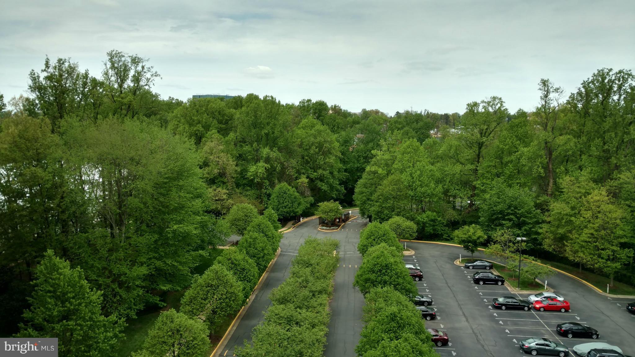 RENAISSANCE - Residential