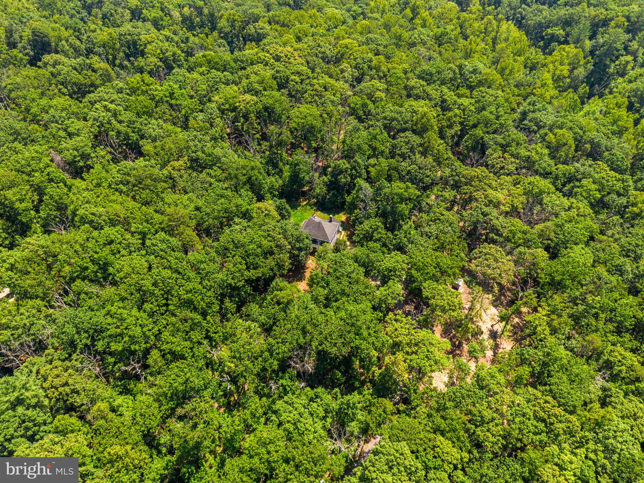10275 MOUNTAIN RUN LAKE ROAD