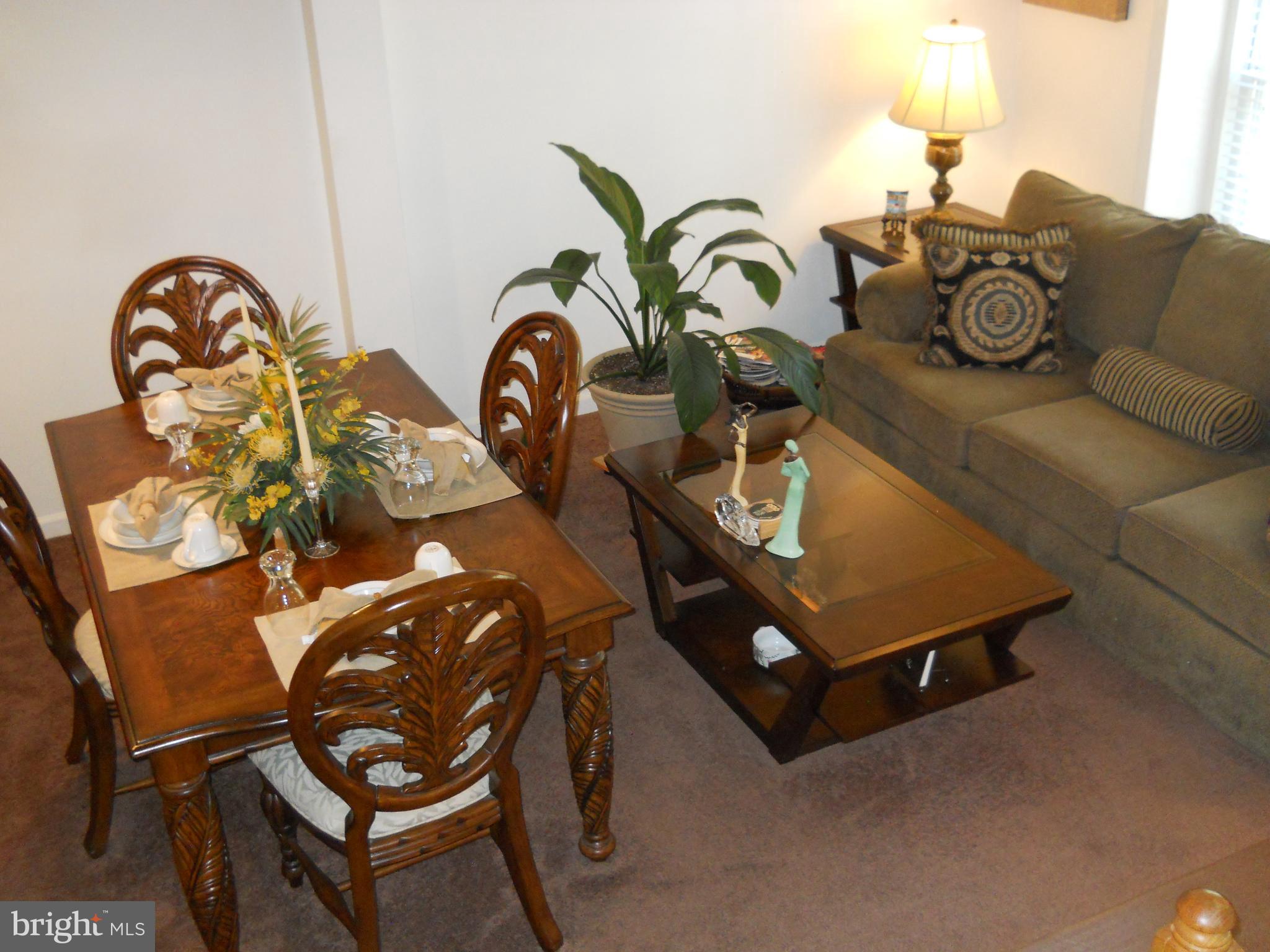 OWINGS MILLS NEW TOWN - Residential