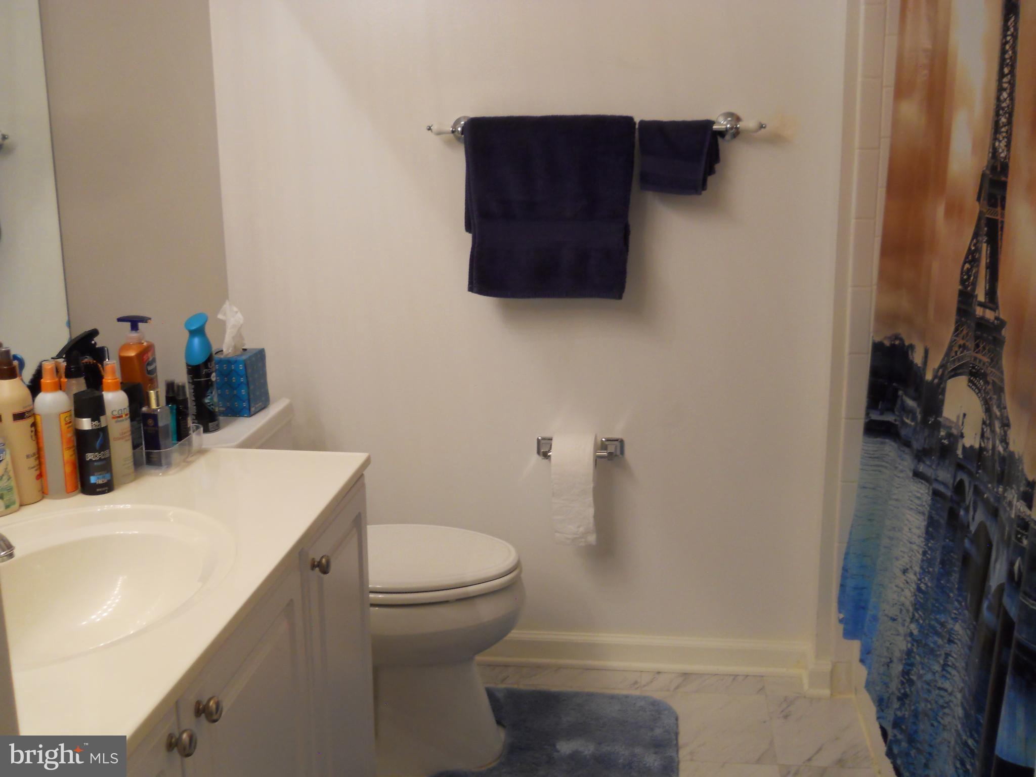 OWINGS MILLS NEW TOWN - Residential