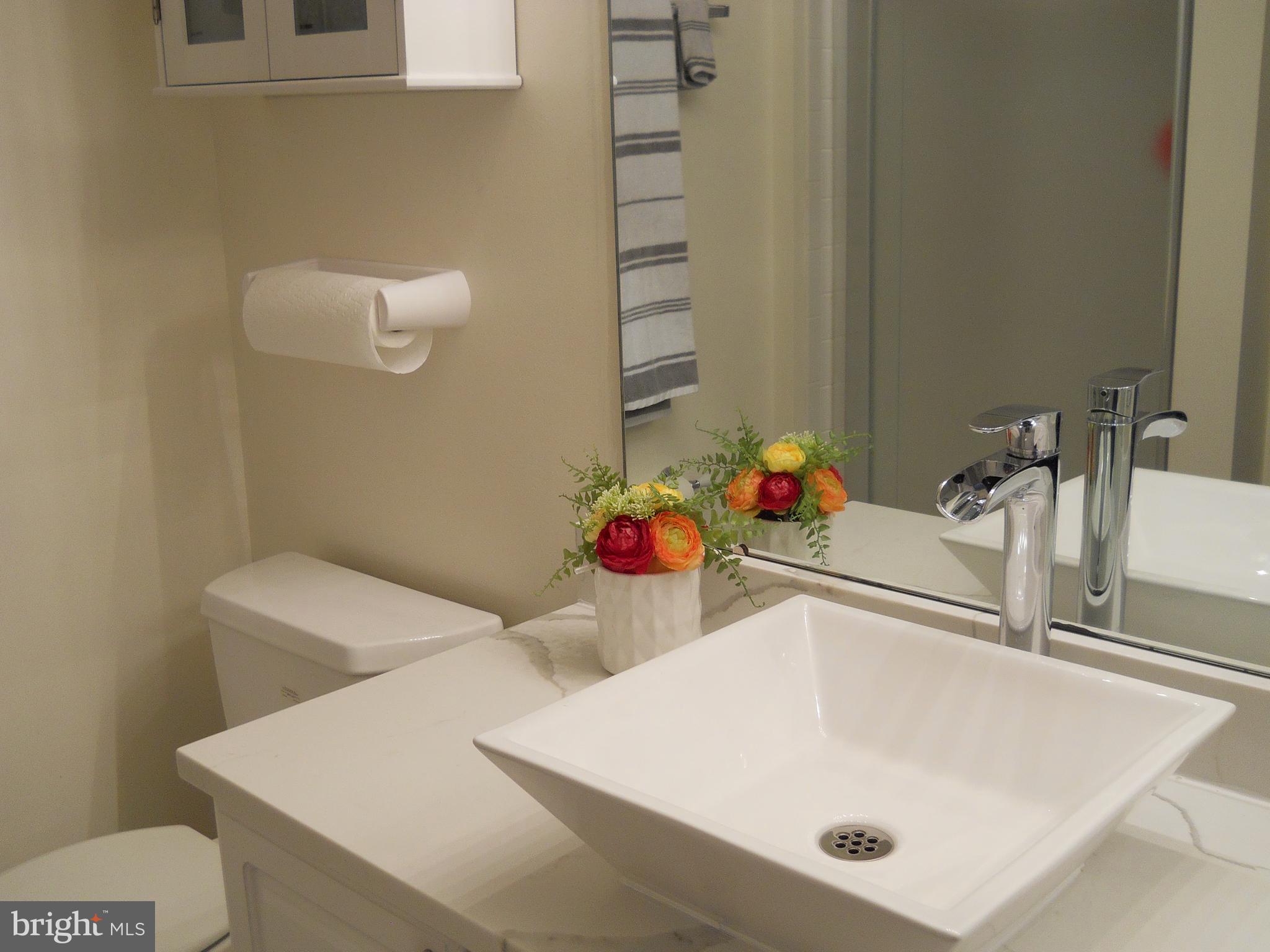 OWINGS MILLS NEW TOWN - Residential