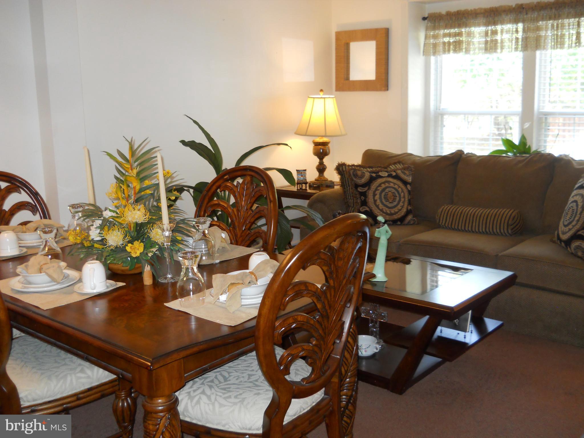 OWINGS MILLS NEW TOWN - Residential