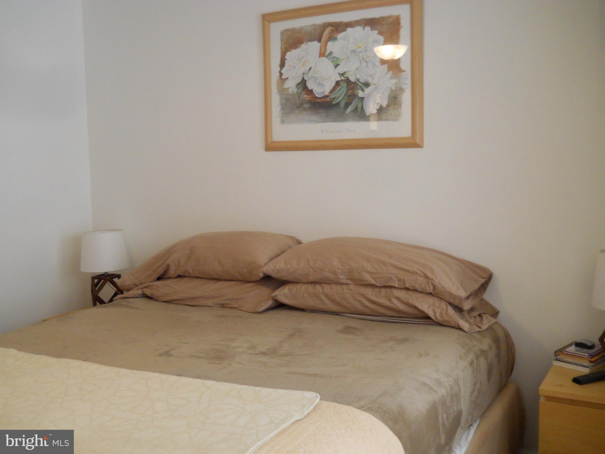 OWINGS MILLS NEW TOWN - Residential