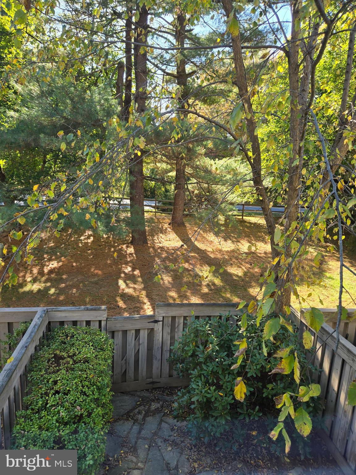 ESSEX PLACE - Residential Lease