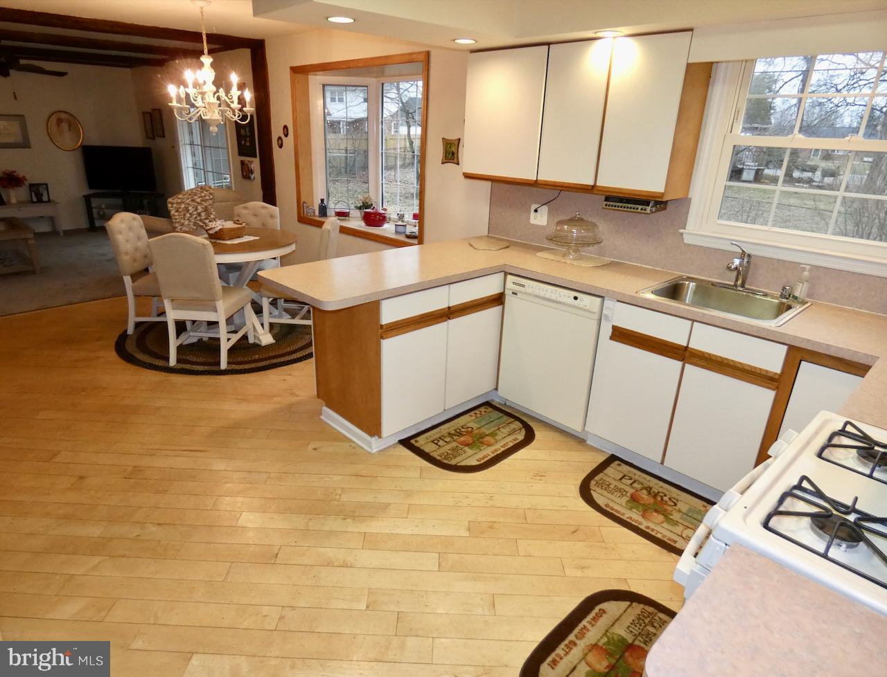 VAN DYKE VILLAGE - Residential