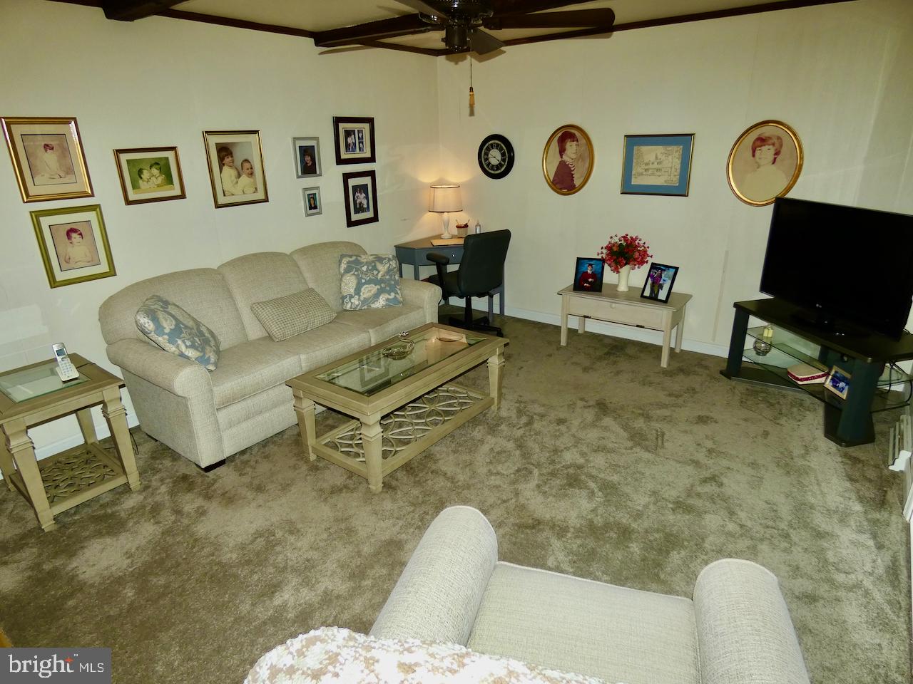 VAN DYKE VILLAGE - Residential