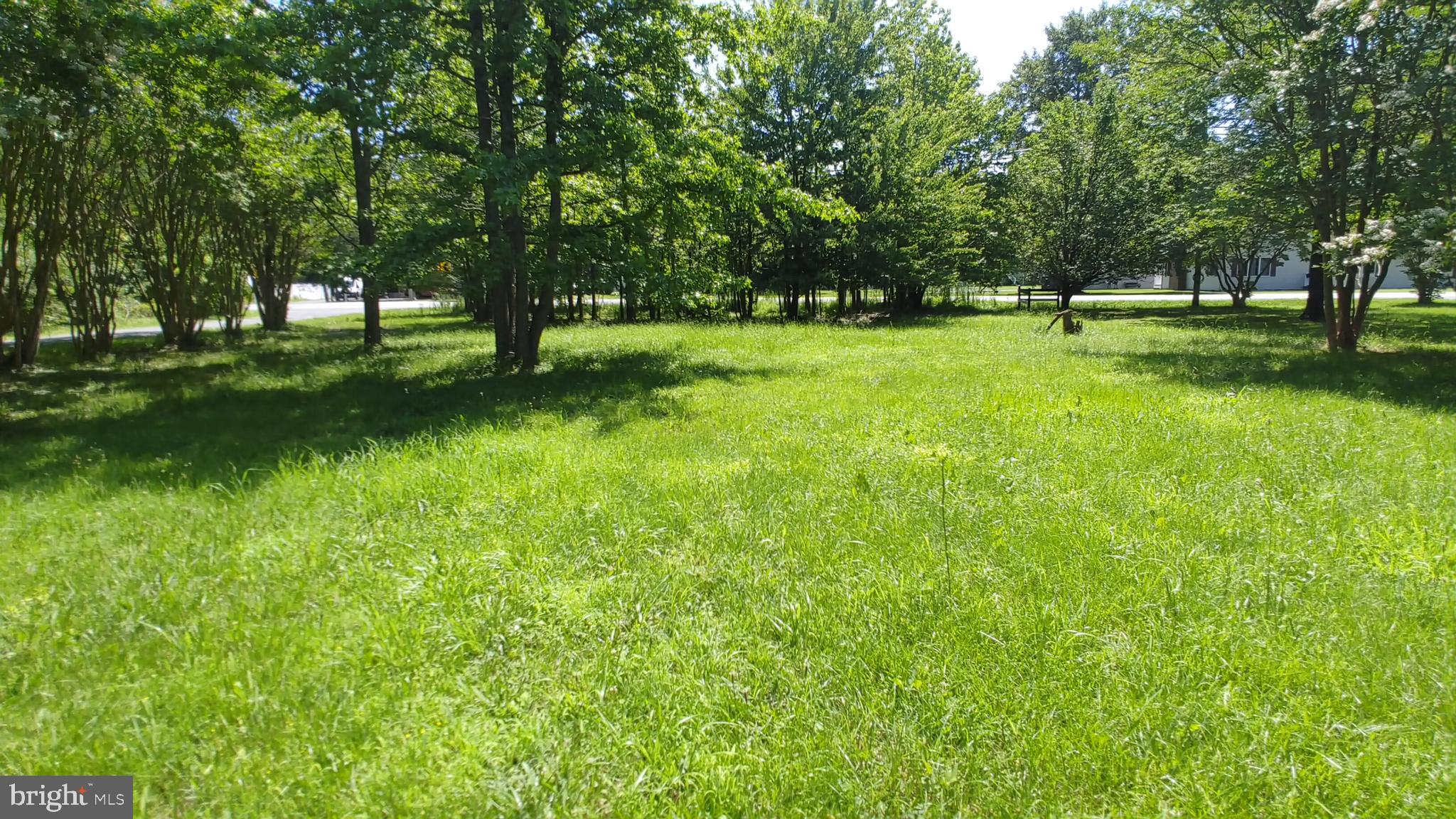 SHADY SIDE - Residential