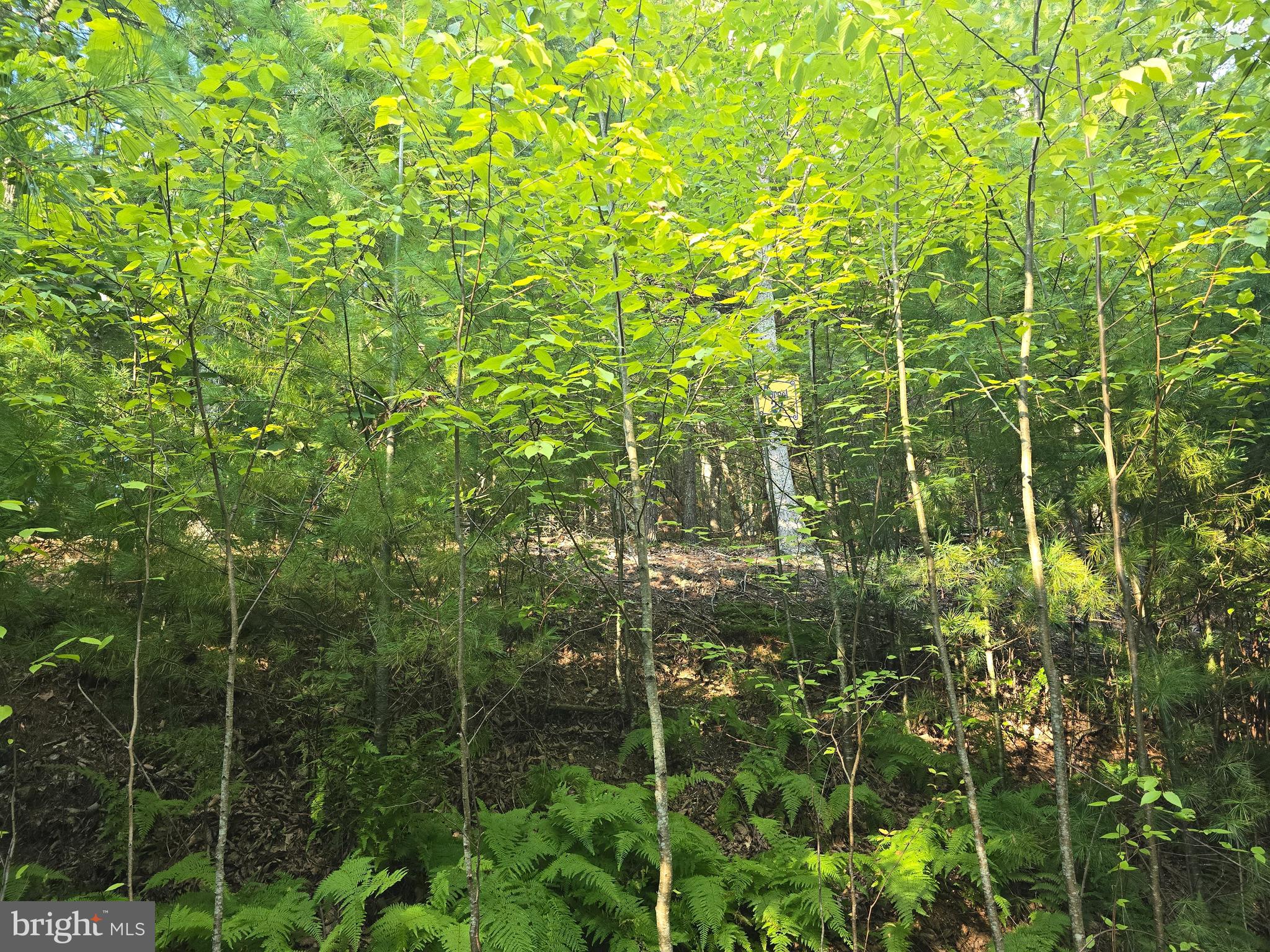 Lot 27 NATIVE TROUT LN