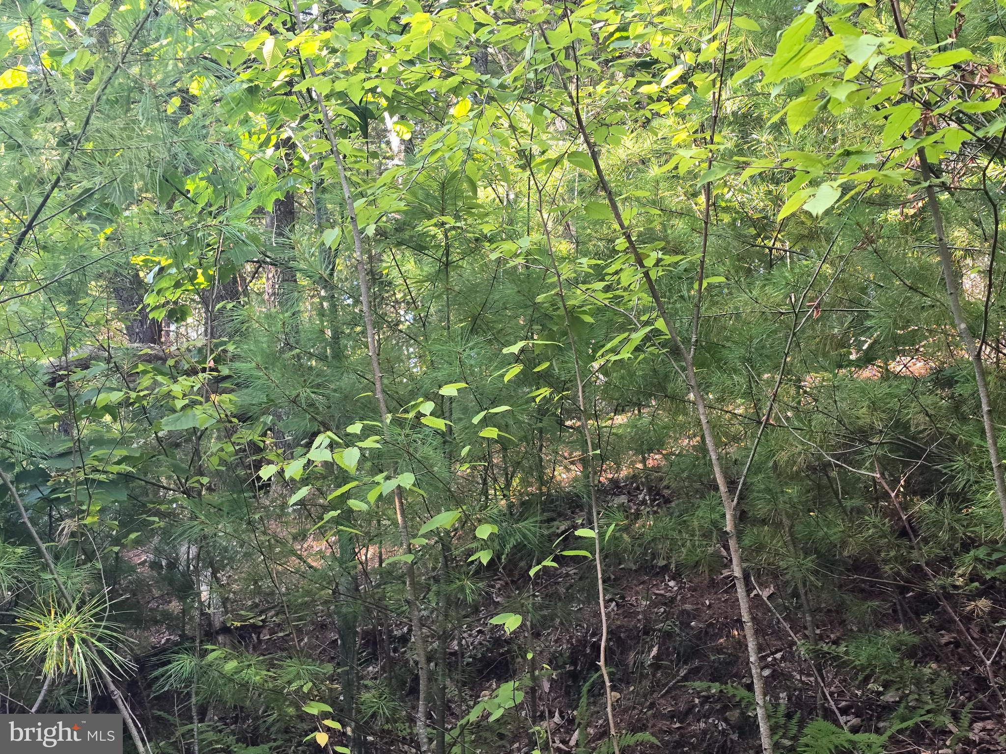 Lot 27 NATIVE TROUT LN