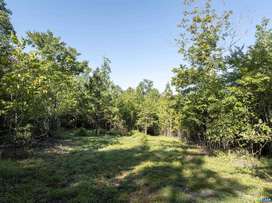 Lot 5 offers 3.5 acres in Albemarle County, an ideal setting for a private homesite with a rural feel while still being within 20 minutes of downtown Charlottesville. The lot has been perked for a 4-bedroom conventional septic system and has access to electricity and high-speed internet, making it ready for a custom build.  Selective clearing can open up beautiful views of the Blue Ridge Mountains, adding to the sense of retreat while preserving the property?s wooded privacy. Bordering the established Ashleigh neighborhood, the site combines quiet seclusion with strong neighboring values.  With mature land, a peaceful backdrop, and proximity to Turkey Run, the setting is well-suited for a primary residence or weekend escape.  Conveniently located, the property is only 20 minutes to the Charlottesville Airport, 19 minutes to Pantops, and 14 minutes to Barboursville Vineyards.